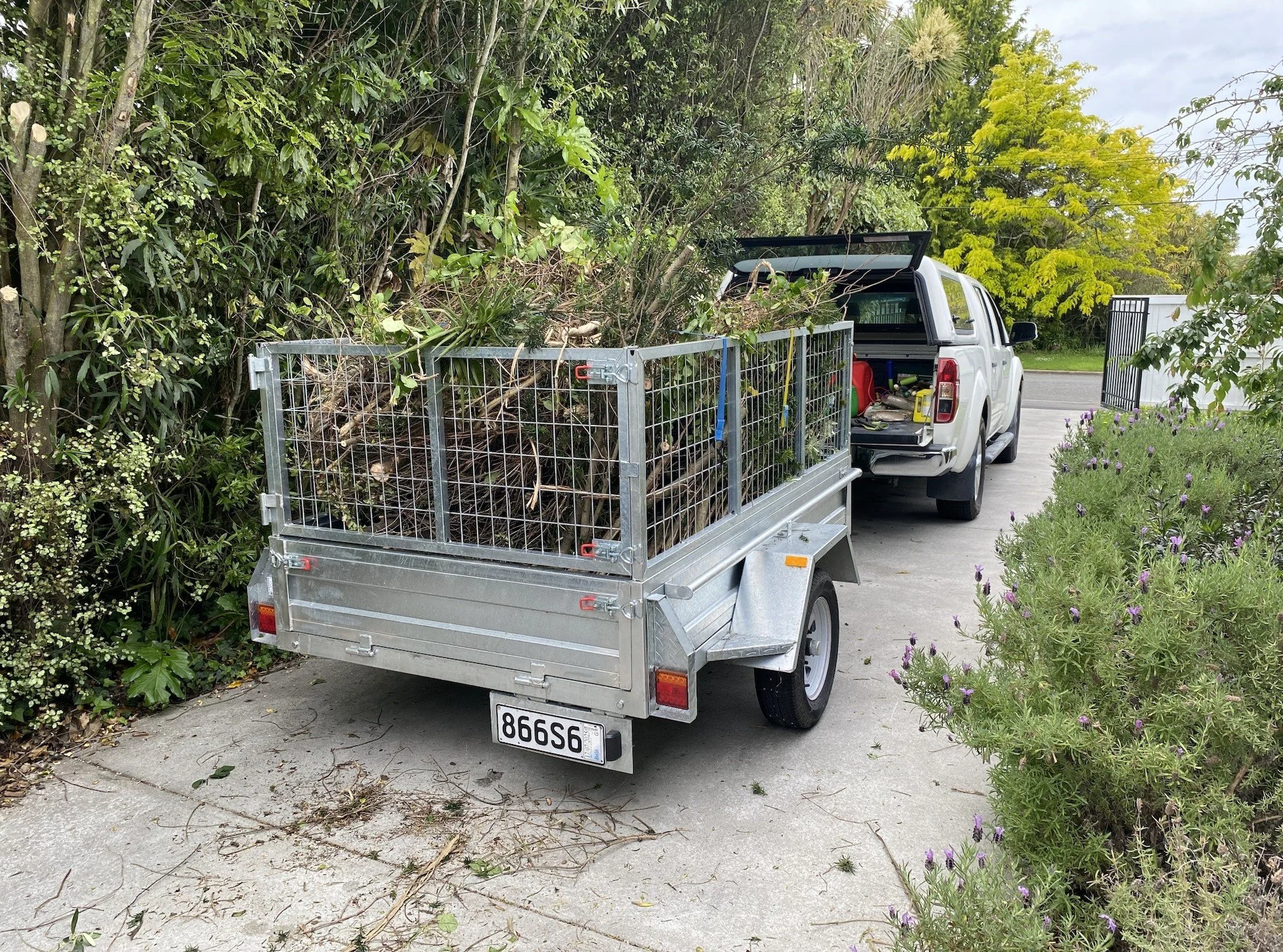 A white pickup truck with an open tailgate parked on a driveway, pulling a small metal trailer loaded with yard branches and debris, near a thick hedge and flowering bushes.