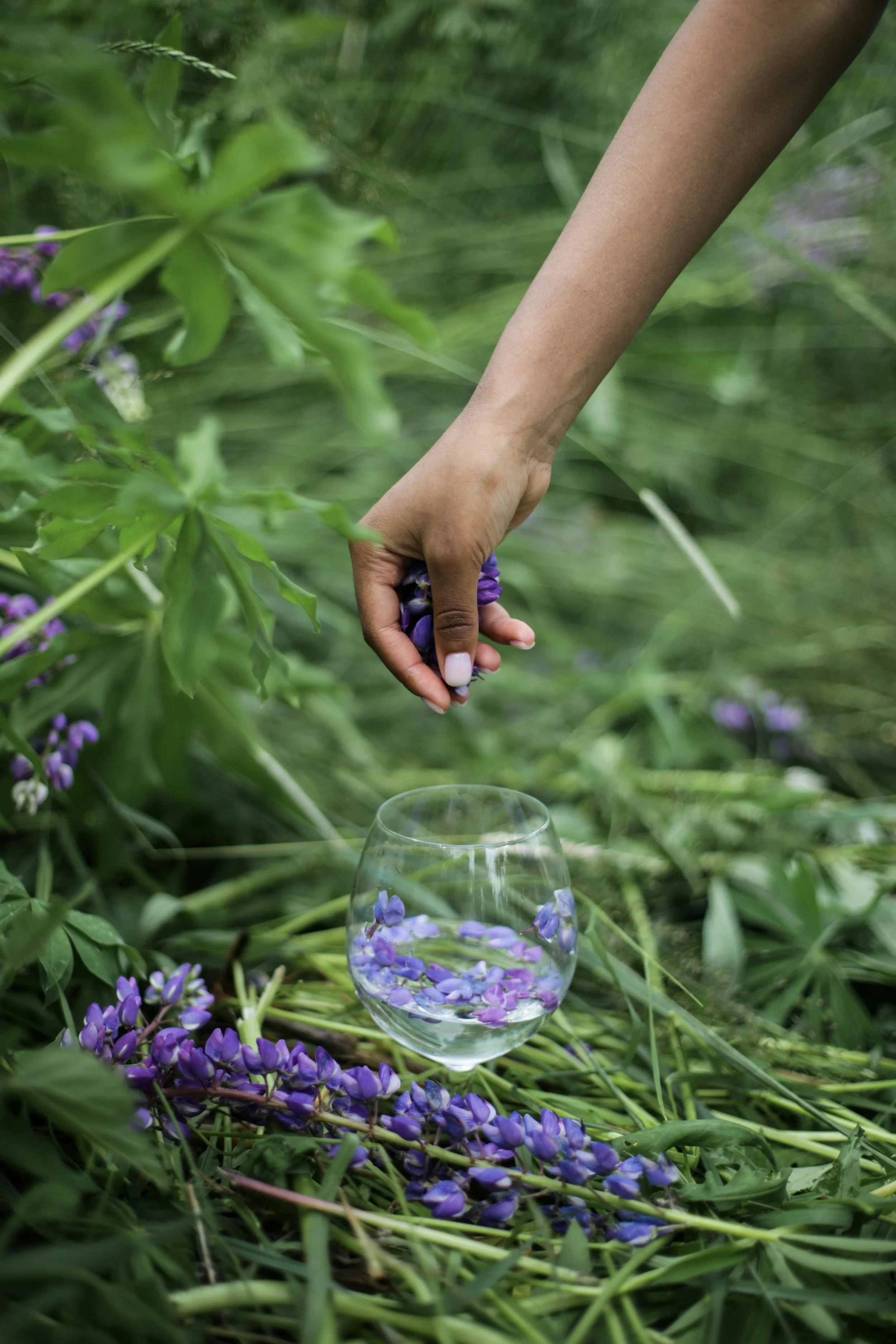 A hand picking purple flowers over a glass of water with floating purple flowers, surrounded by green foliage.