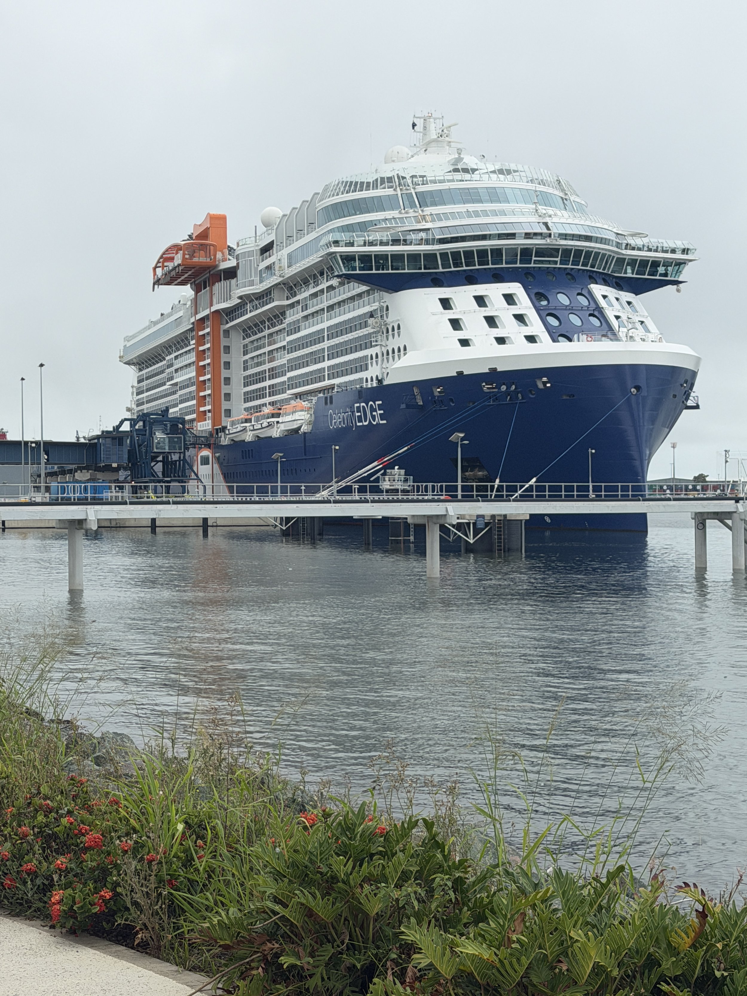 A large cruise ship docked at the port, with water and greenery in the foreground.