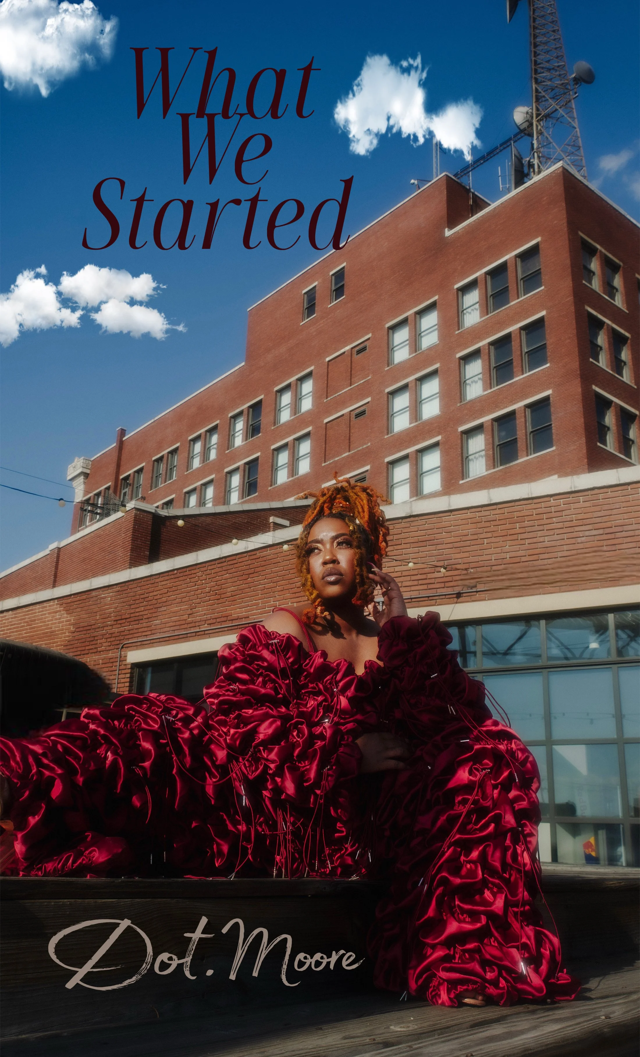 What We Started Cover Art