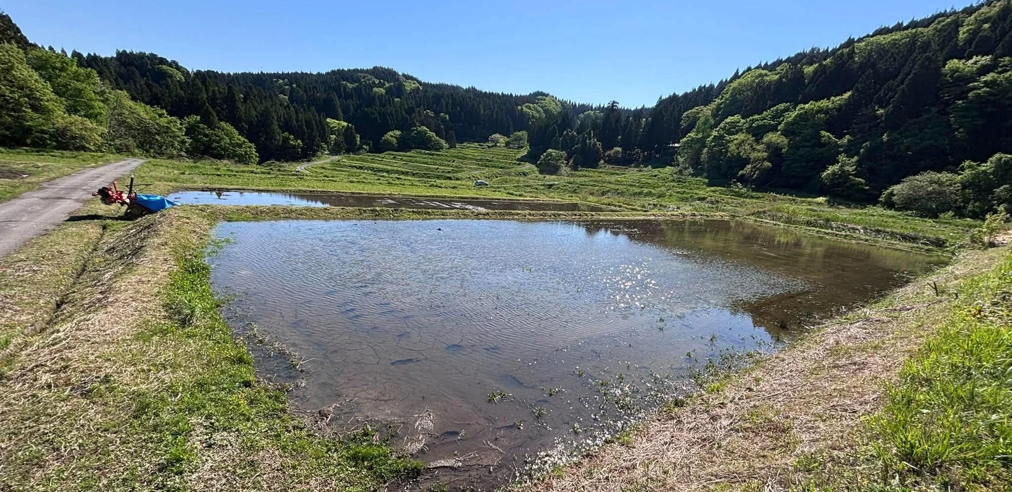 みんなで田植えやりましょう！