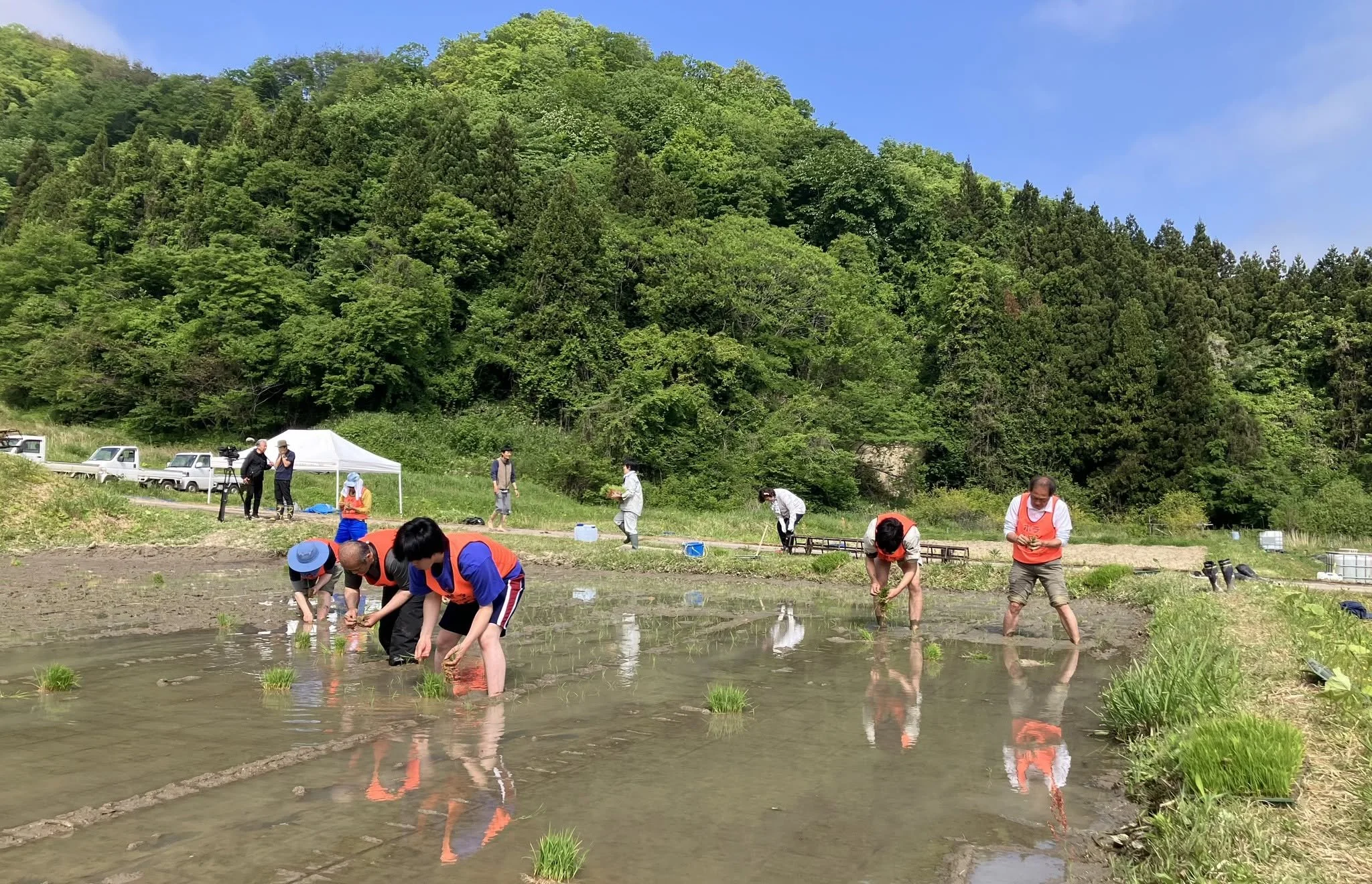 みんなで田植え