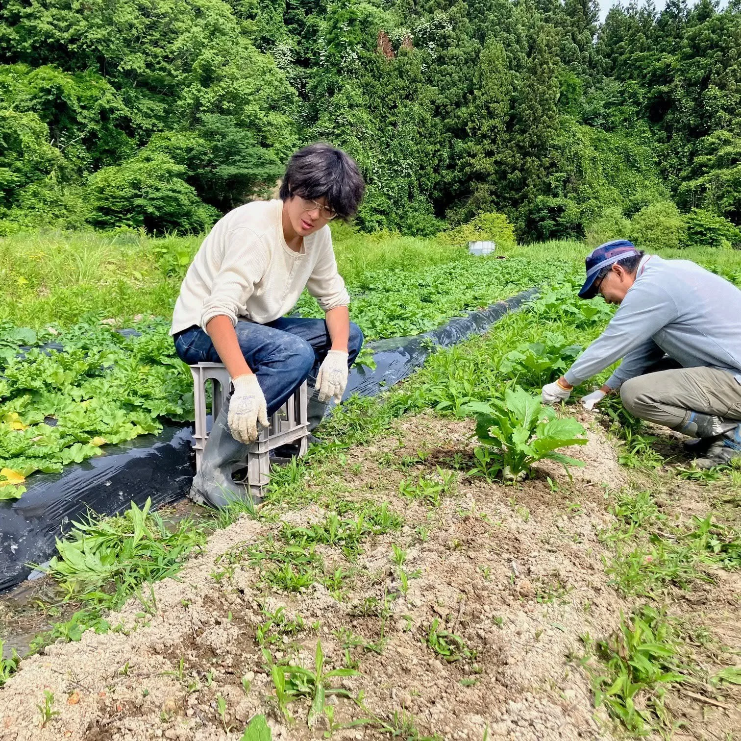 棚田で野菜づくりに挑戦