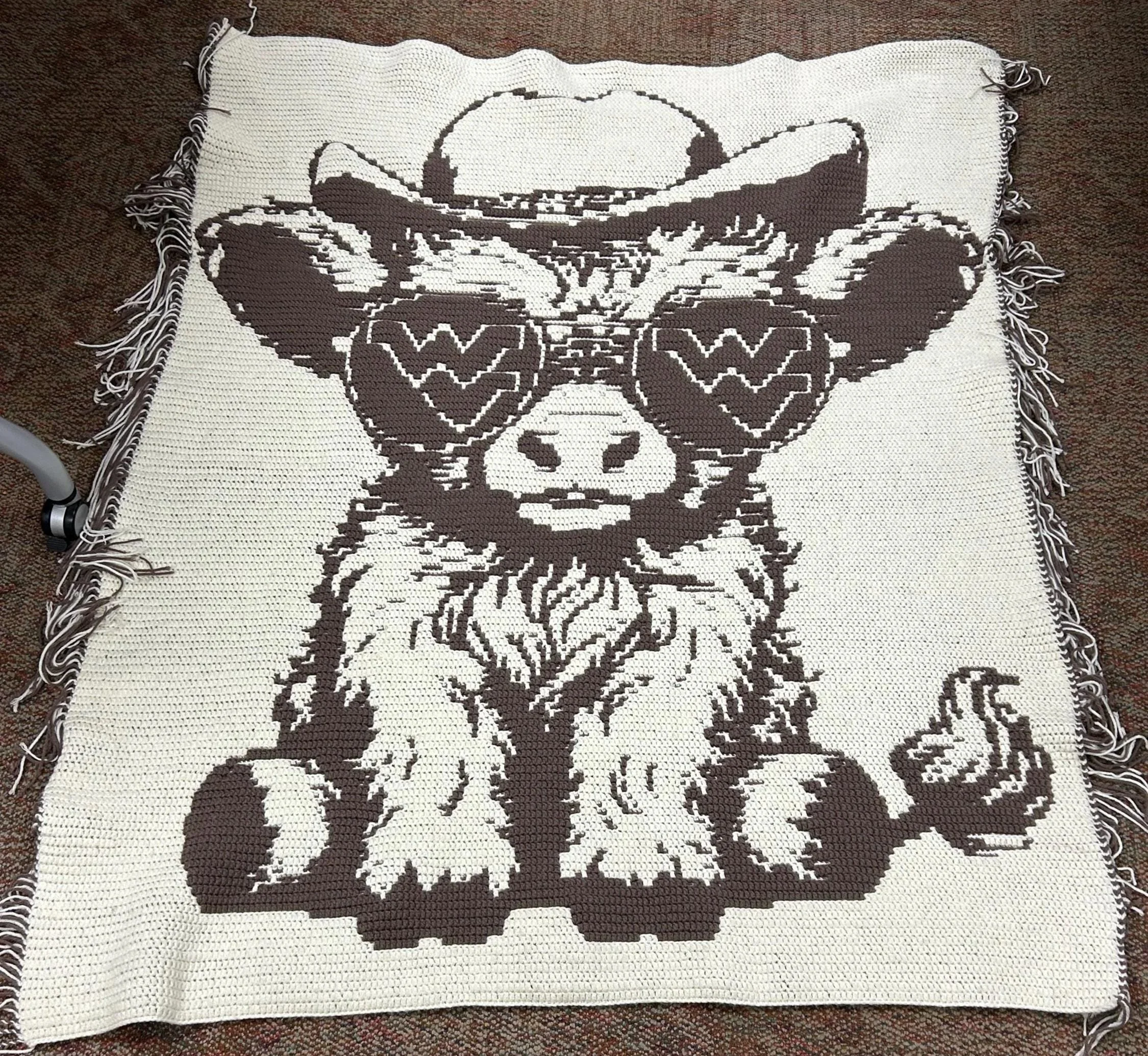 Highland Cow with WV sunglasses