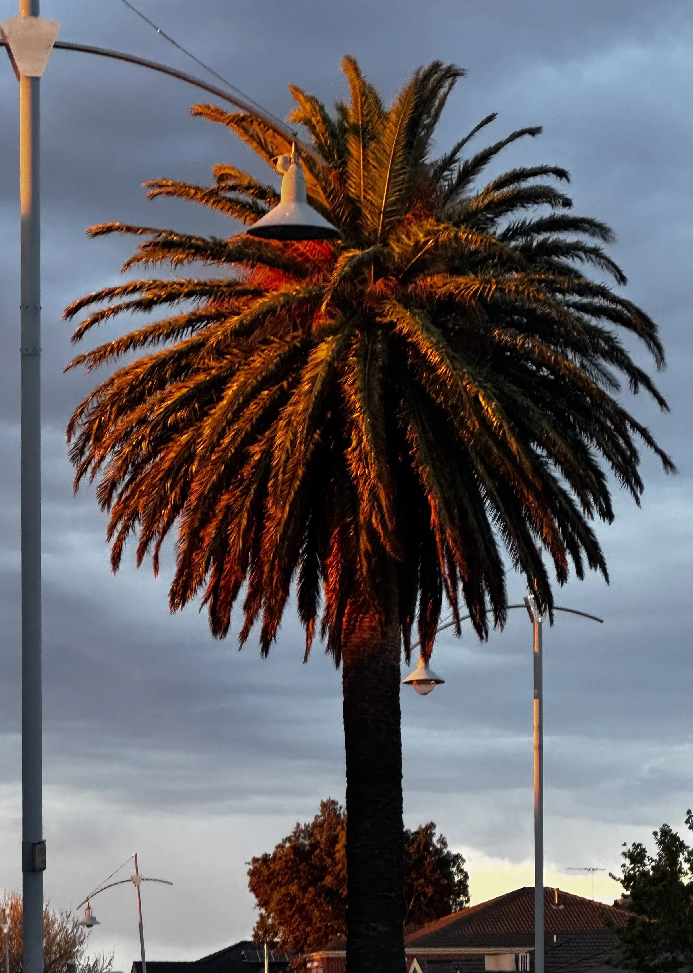 Image 8: Sunrise