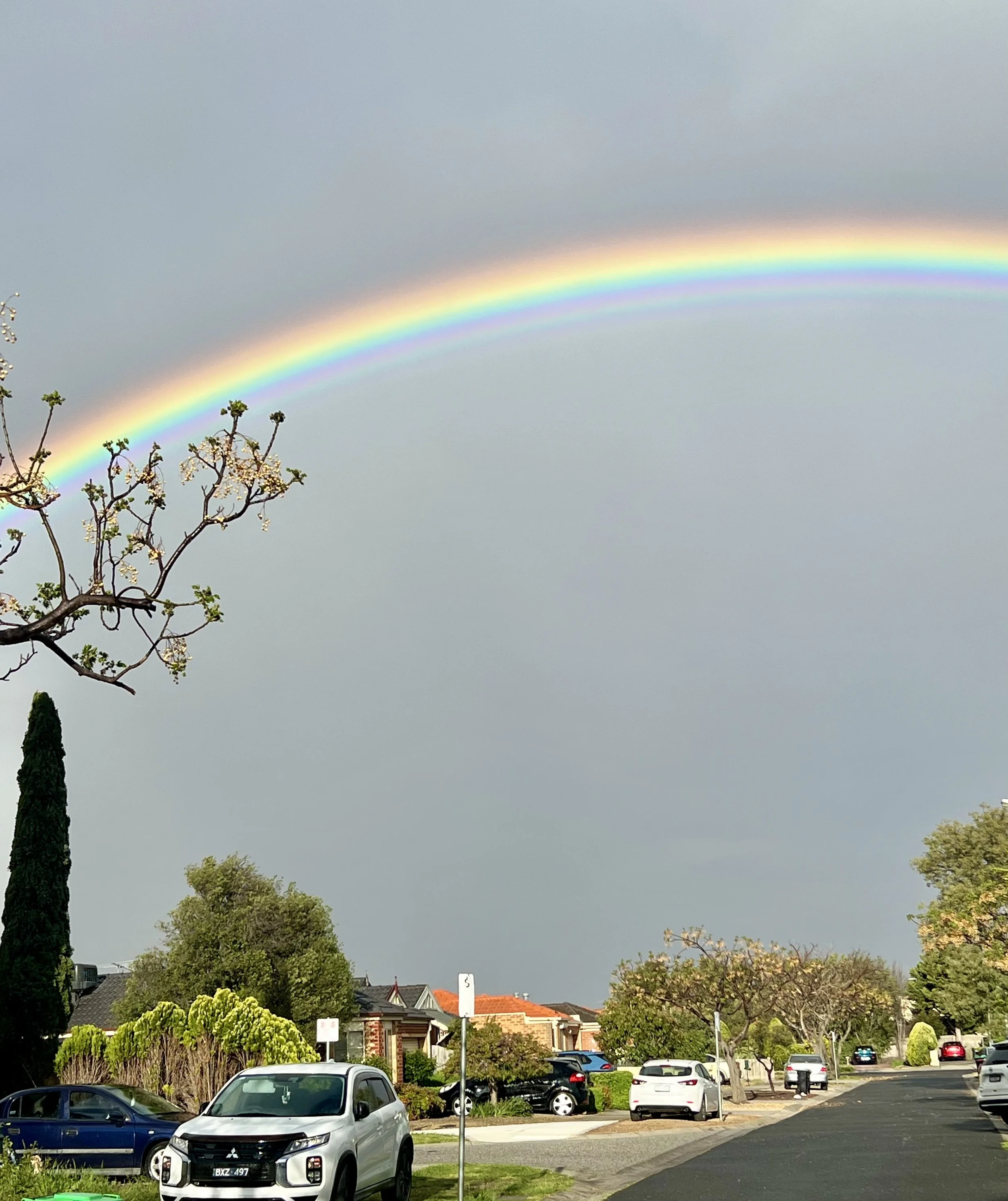 Image 5: Rainbow
