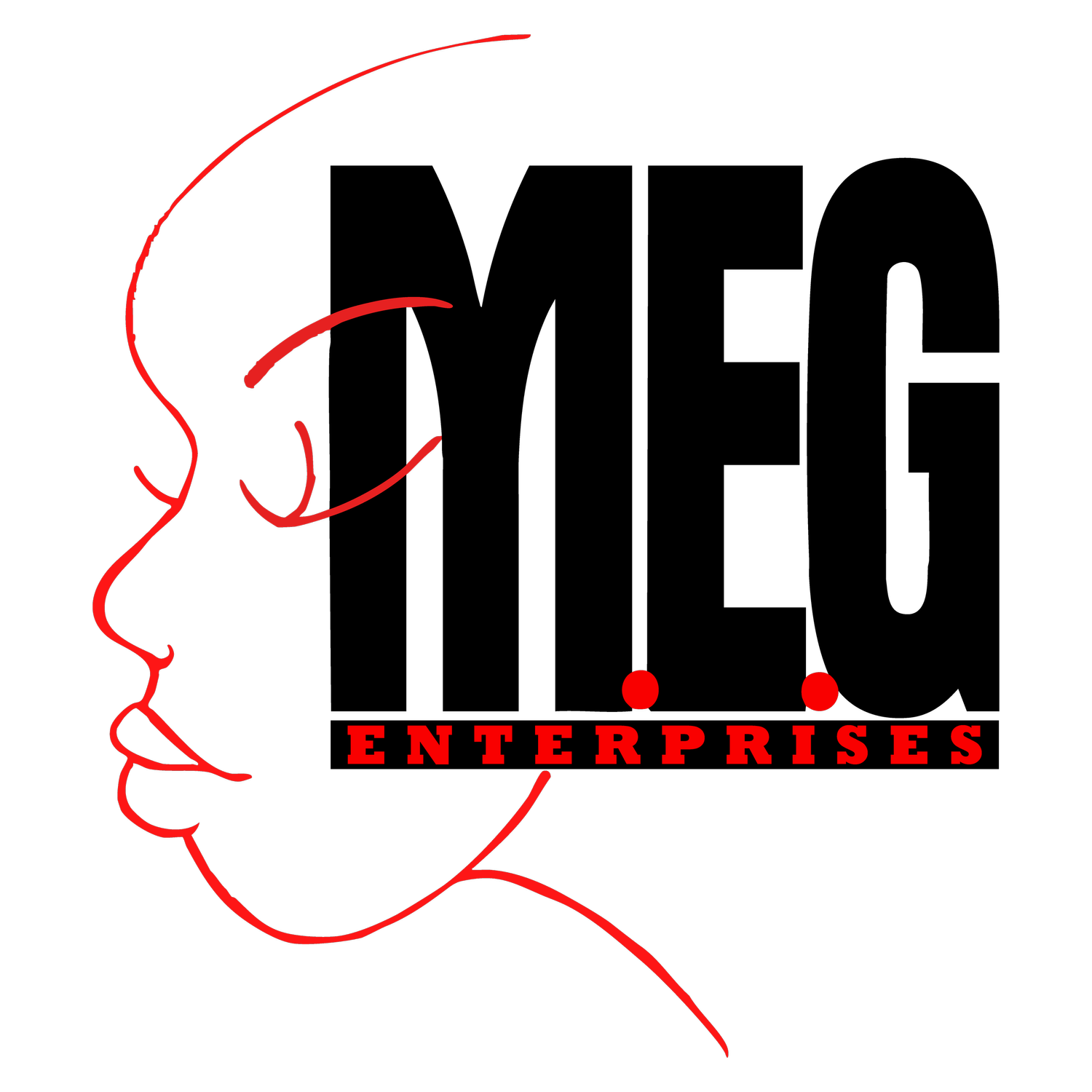 MEG ENT LLC