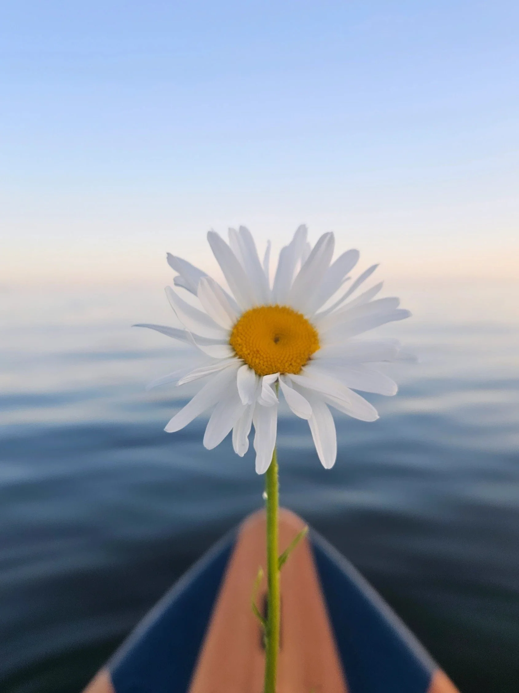Grief, Nature, and the Healing Power of Water