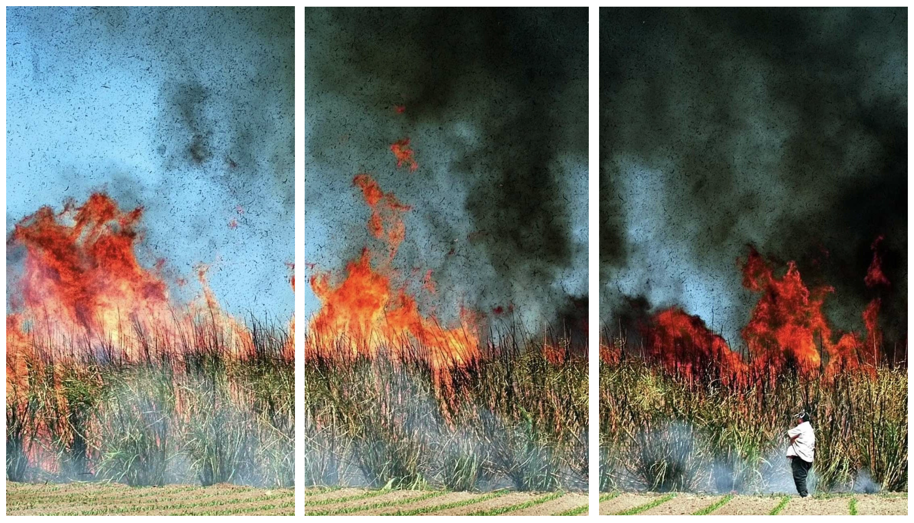 Screenshot 2026-06-12 at 6.13.30 PM.png