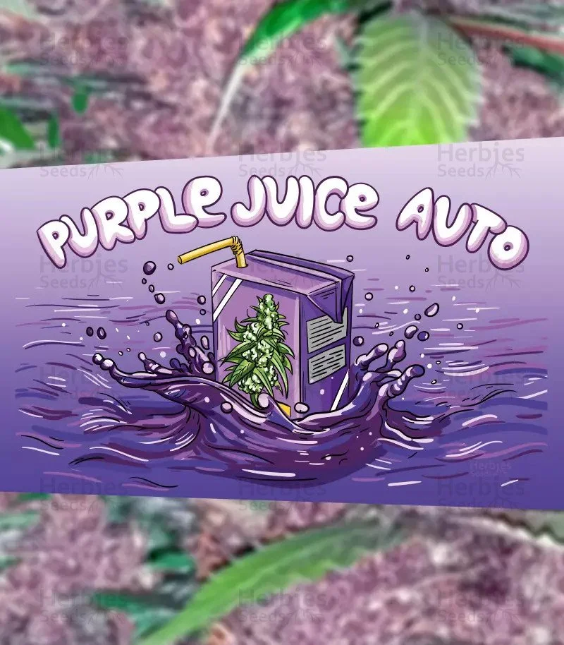 Purple Juice 3.jpg