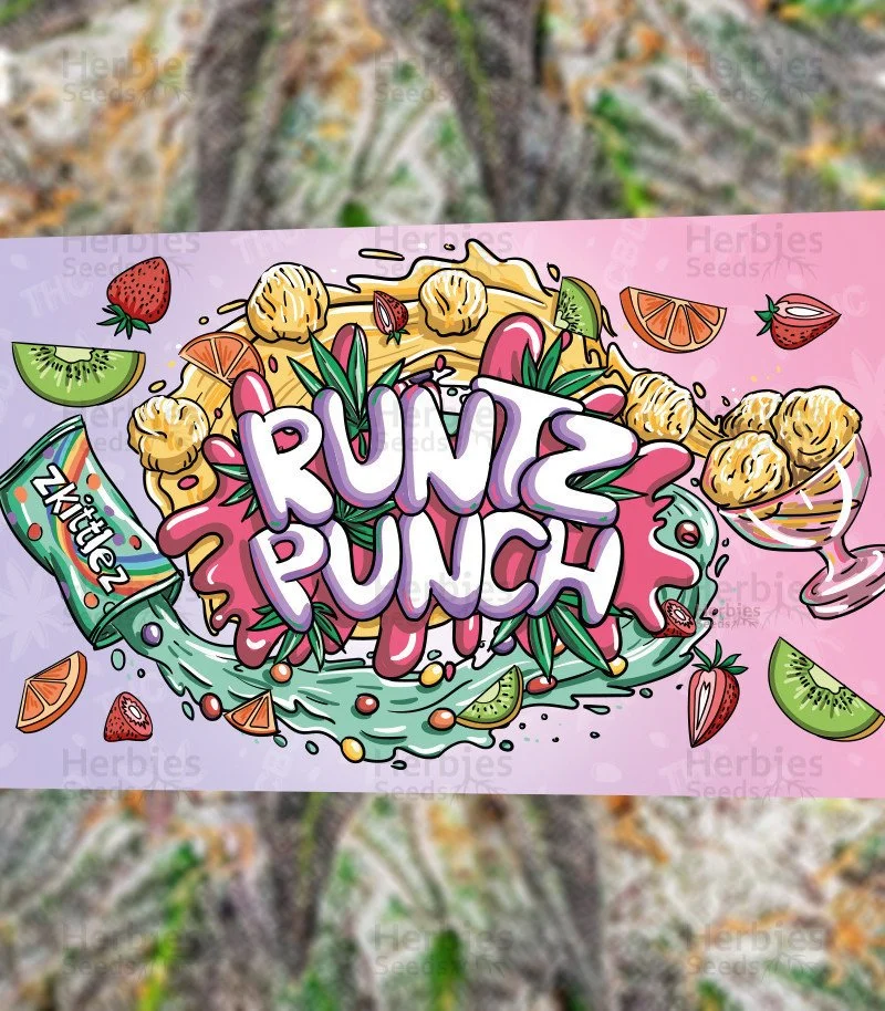 Runtz Punch 3.jpg