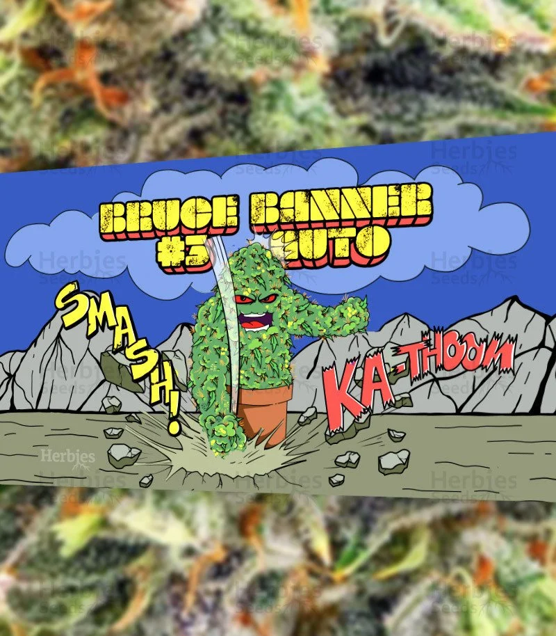 Bruce Banner 3.jpg
