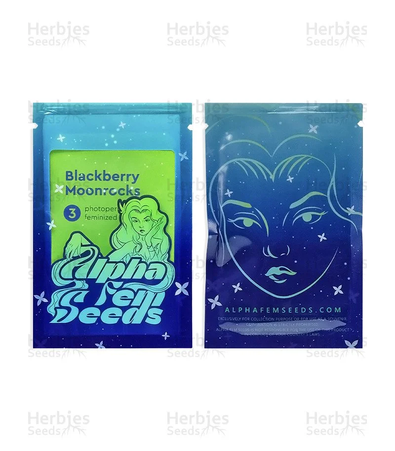 Blackberry Moonrocks 2.jpg
