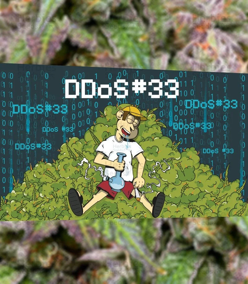 DDoS 3.jpg