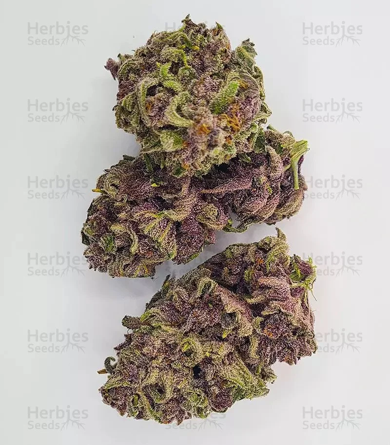 Bubba Kush6.jpg