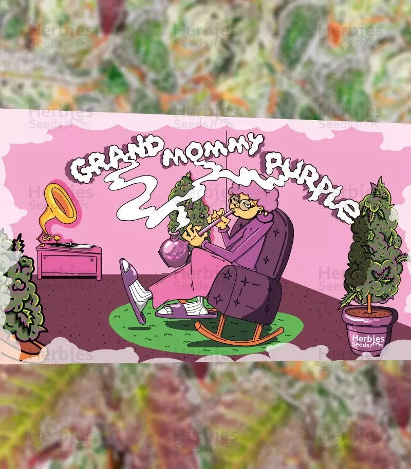 Grandmommy Purple 3.jpg