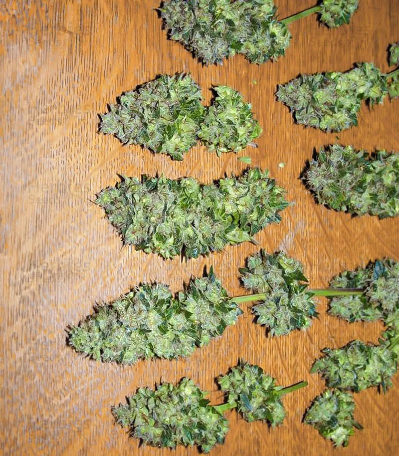 Blackberry Moonrocks 6.jpg