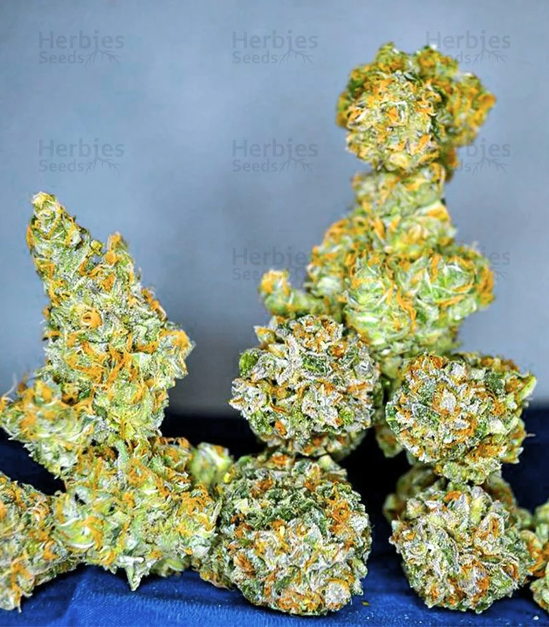 Blackberry Moonrocks 4.jpg