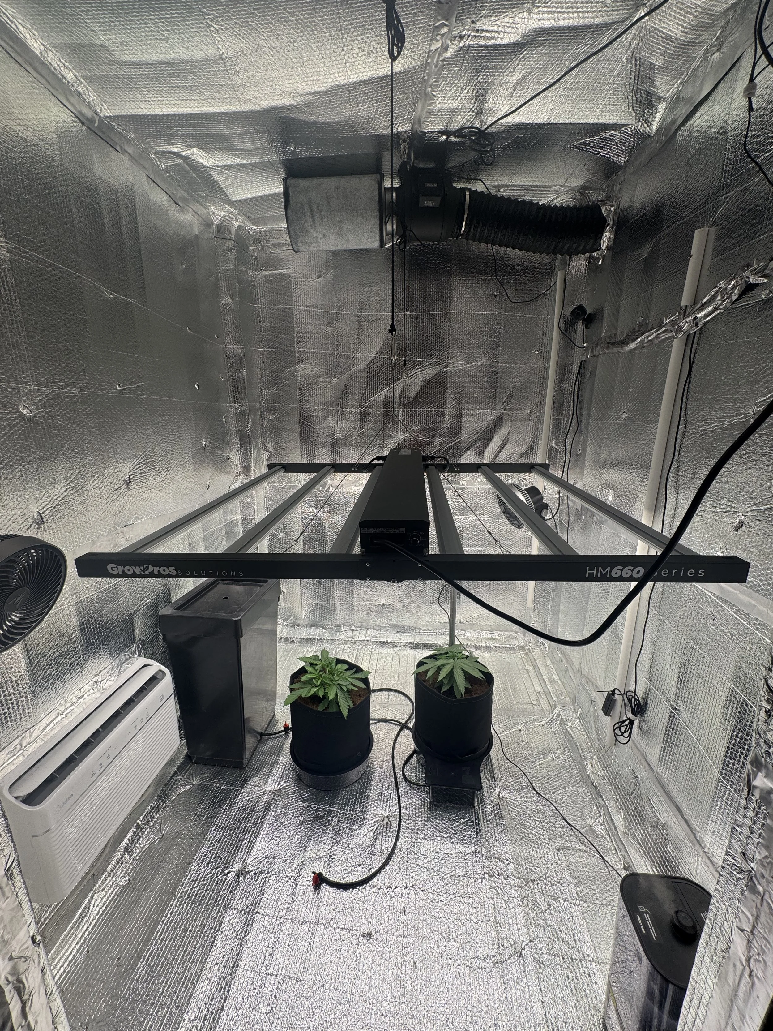 Indoor cannabis cultivation setup with LED grow lights, two cannabis plants in pots, an air conditioning unit, a fan, and reflective interior walls.