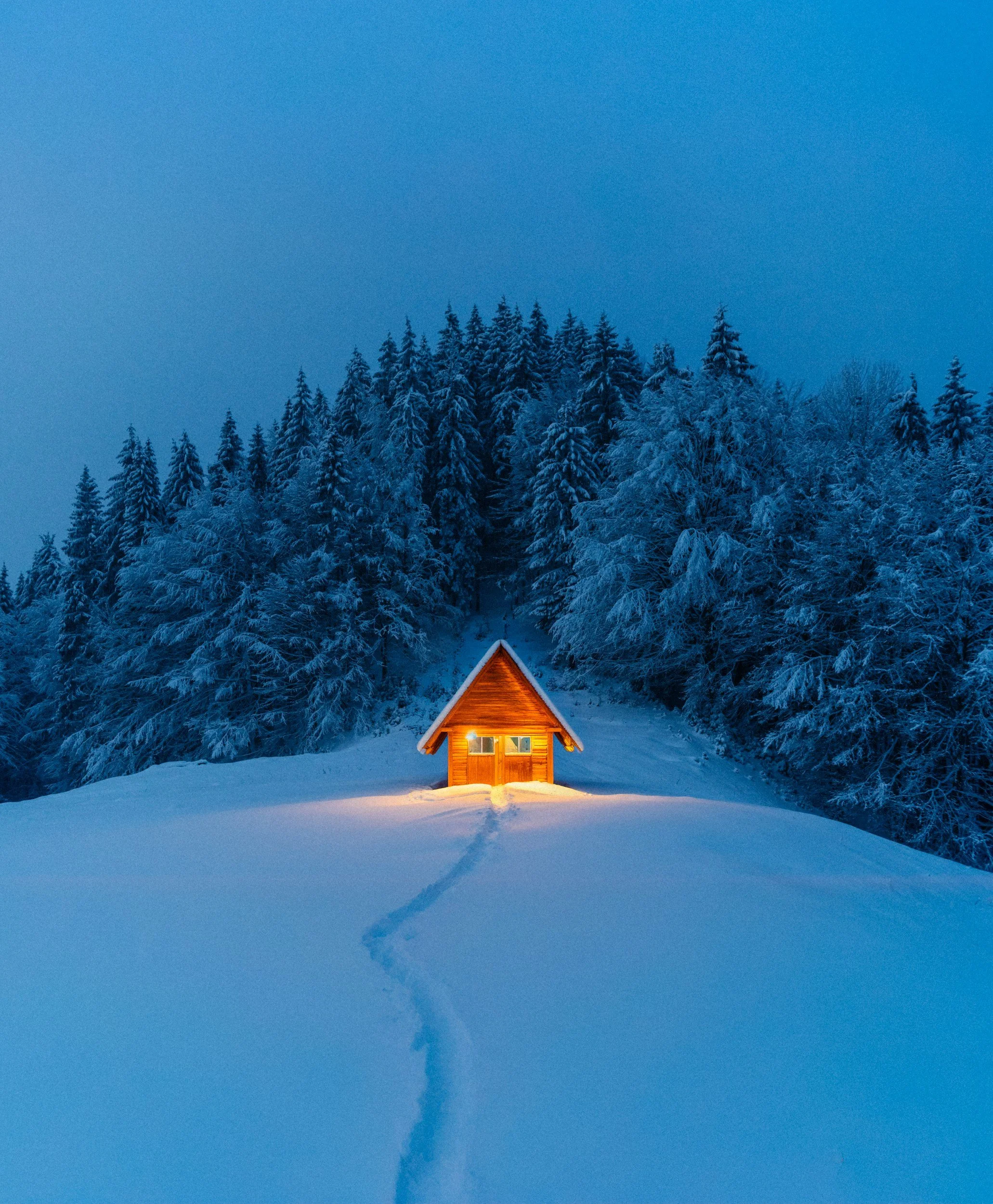 A small wooden cabin with warm lights glowing in the snow, surrounded by snow-covered trees, under a blue winter sky.