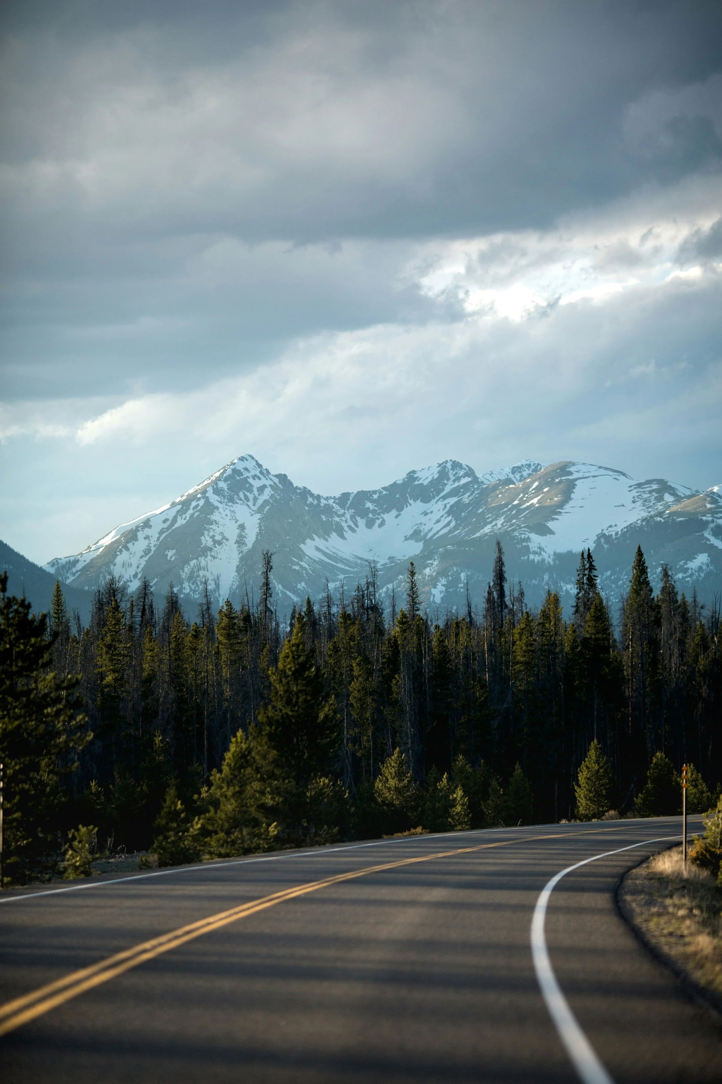 A curving two-lane road runs through a forest of tall pine trees, with snow-capped mountains and a cloudy sky in the background.