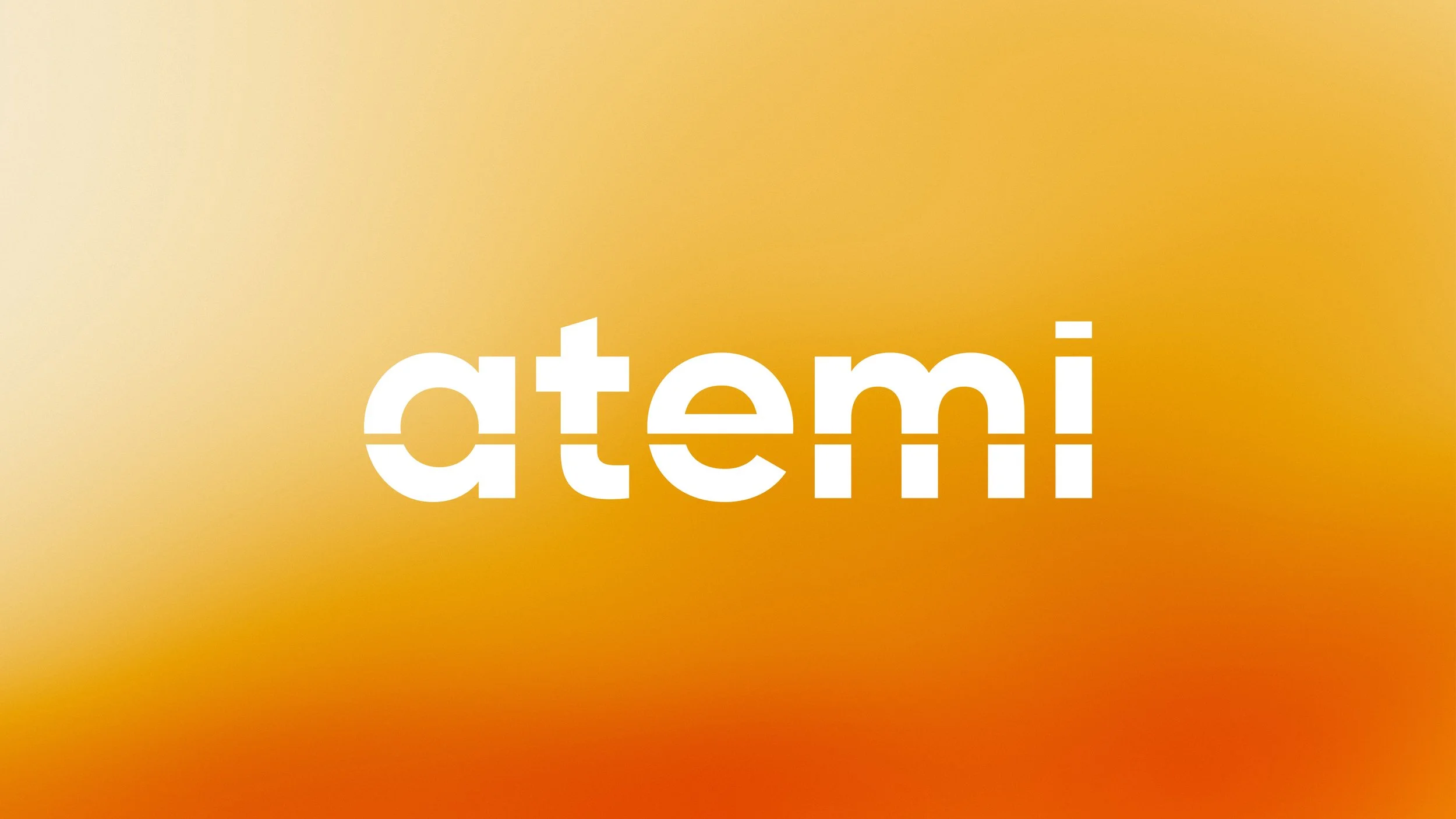 Atemi Group