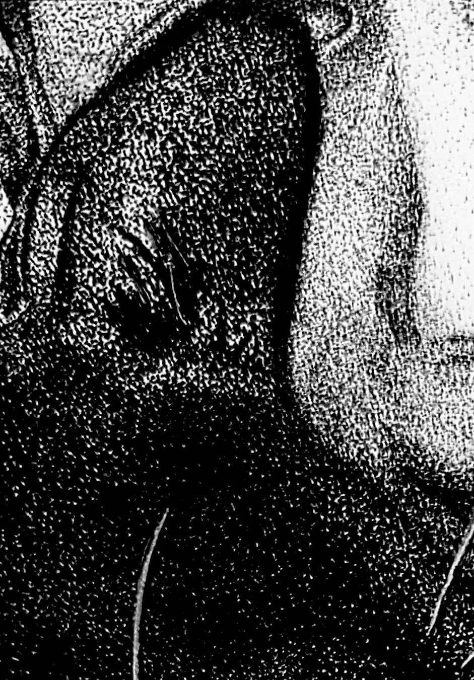 closeup3.jpg