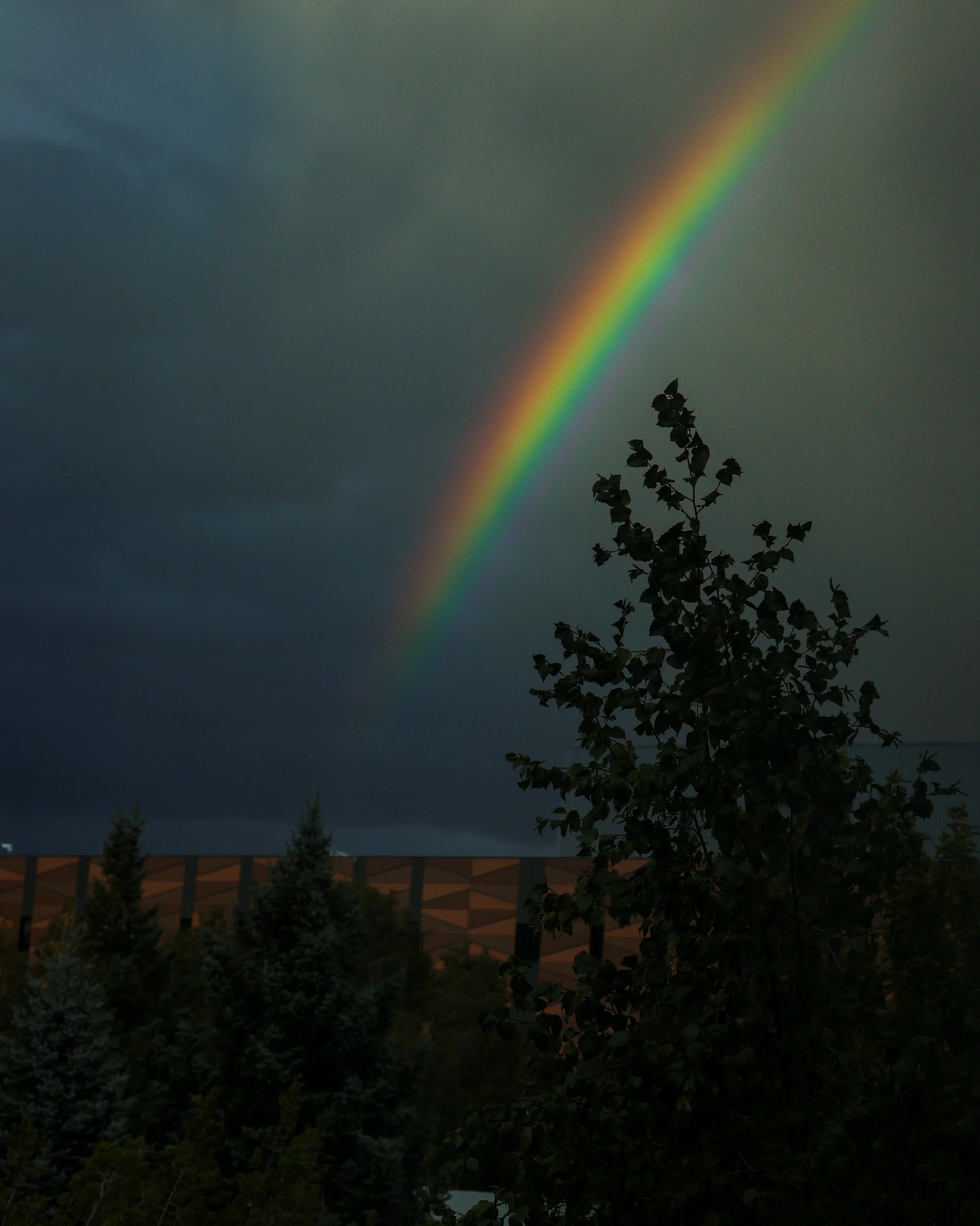 Rainbow arching across a dark, cloudy sky over trees and a building.