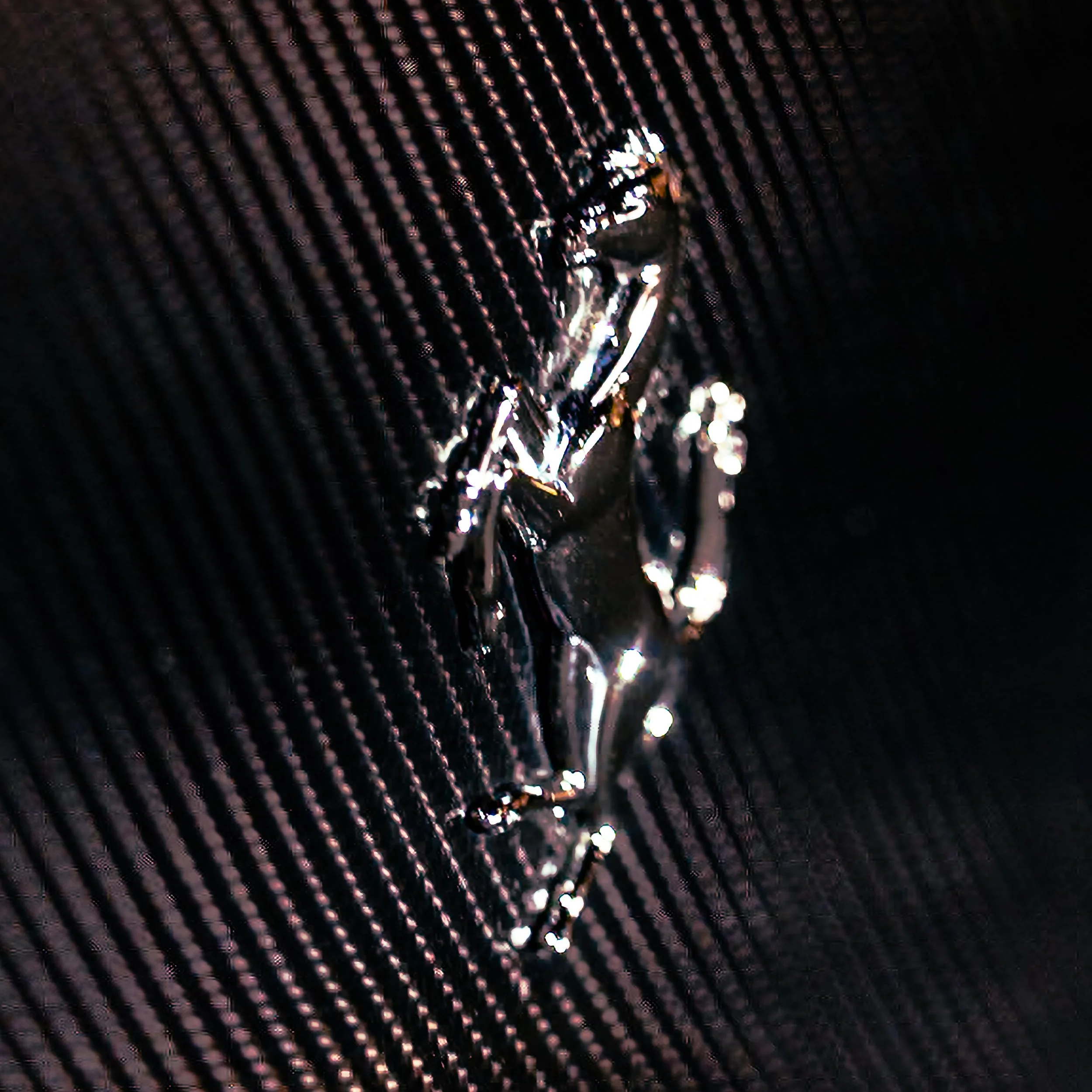 KWDK-3980.jpg