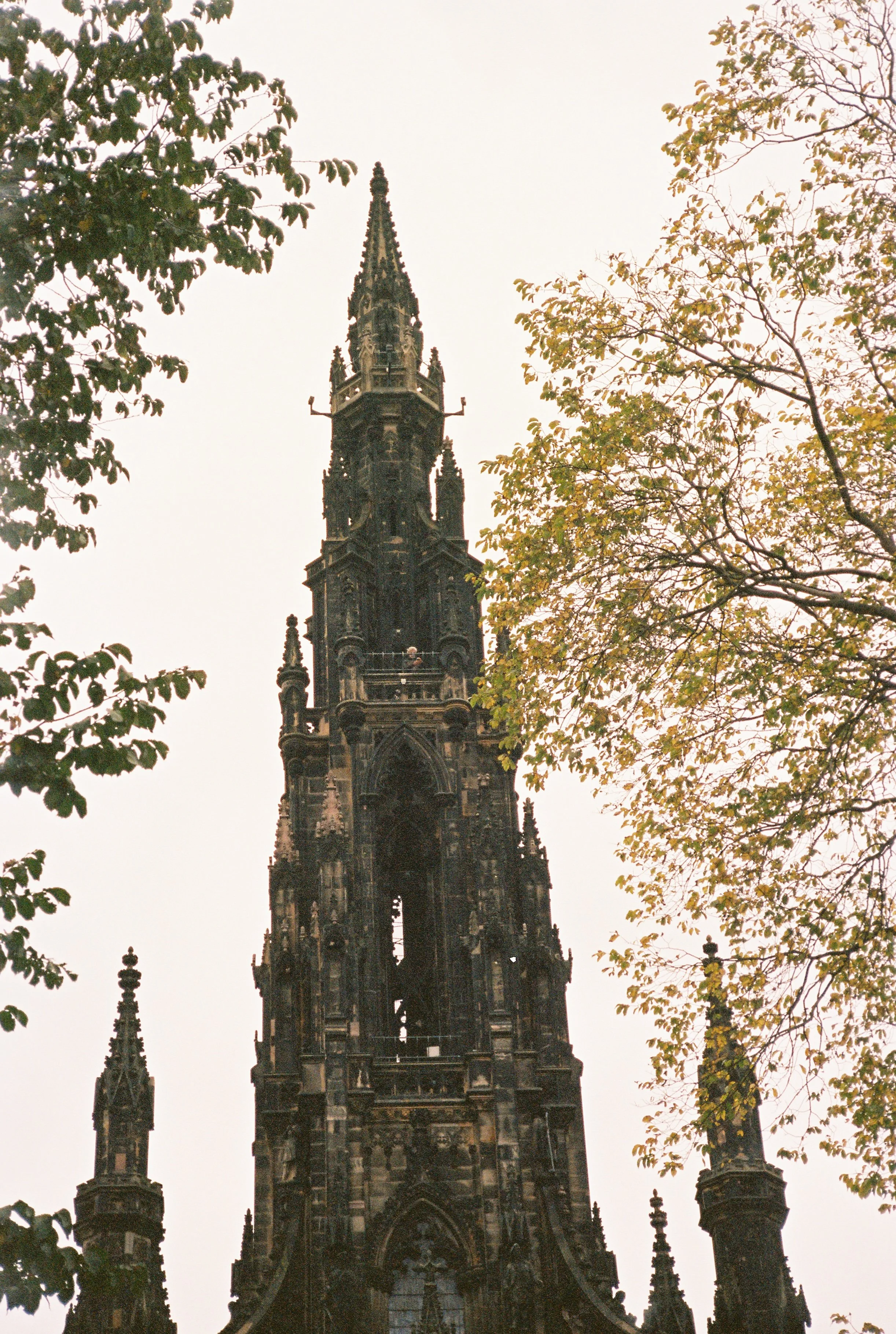 16109R1-R01-010 copy.jpg