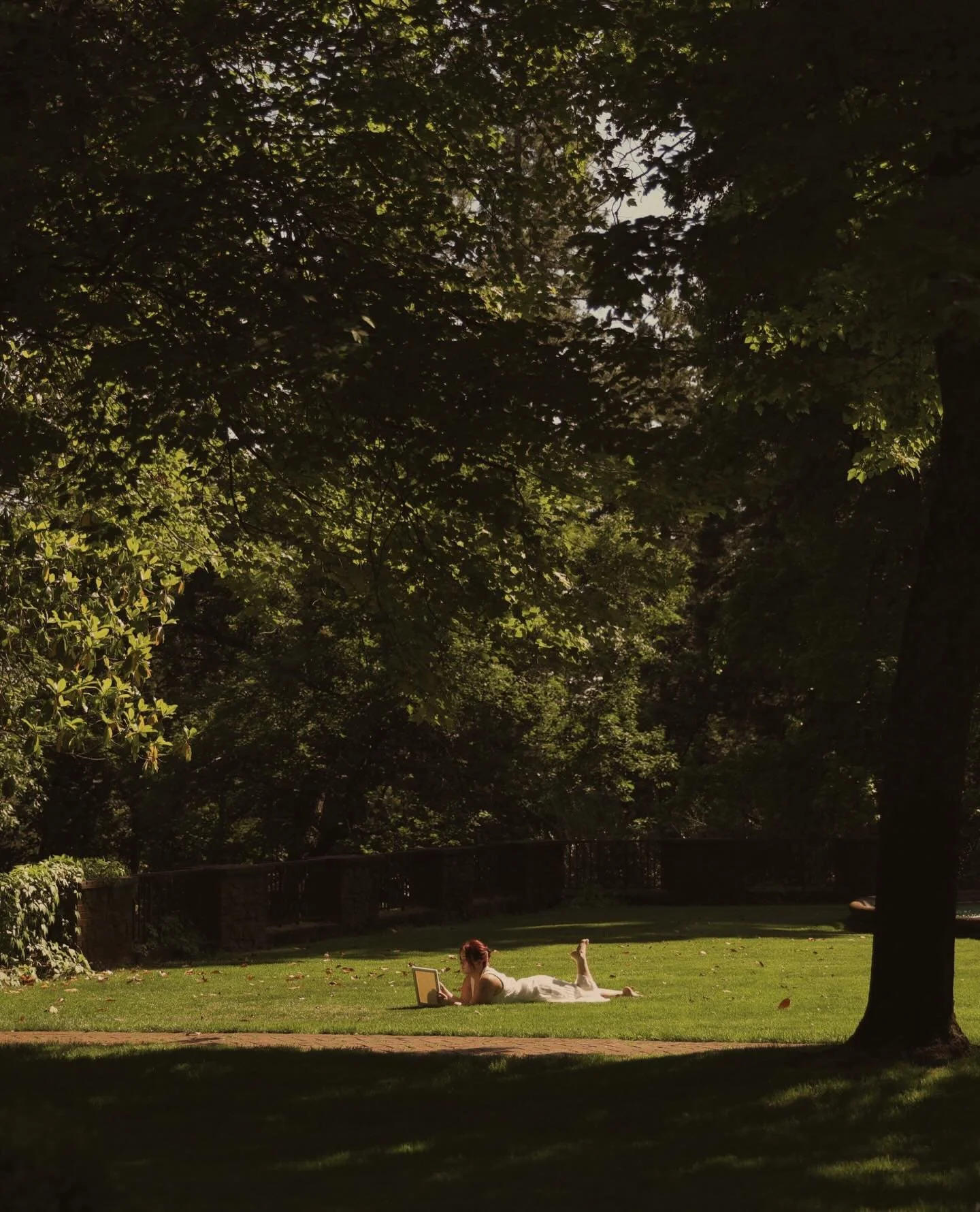 Elleanor in the gardens ⭐️ 

Many months later and I'm still obsessed with these photos!!! 

#summer #norcalphotographer #grassvalleyca #inspo #777luckyfish
