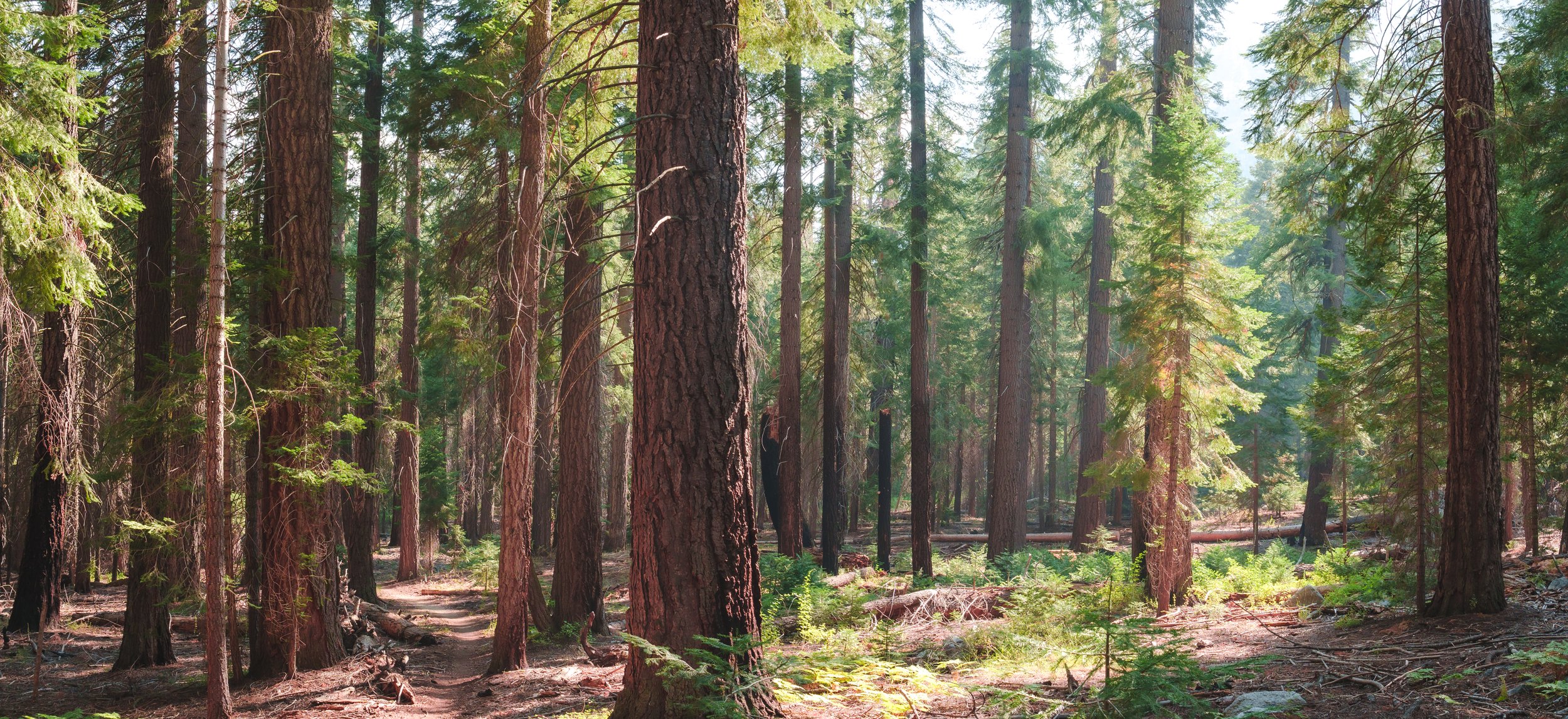 Patrick Sparks-21.jpg