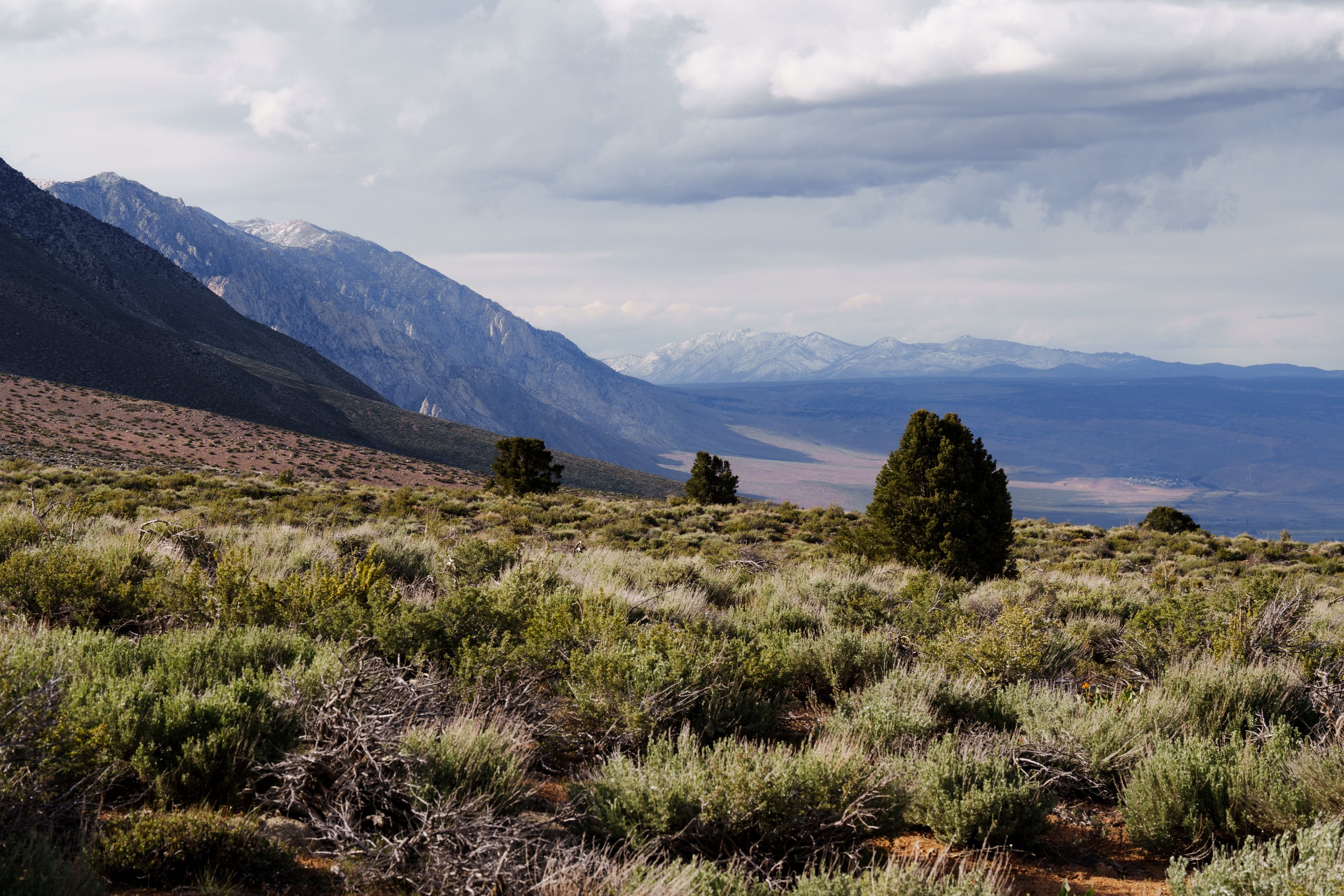 _DSC0872.jpg