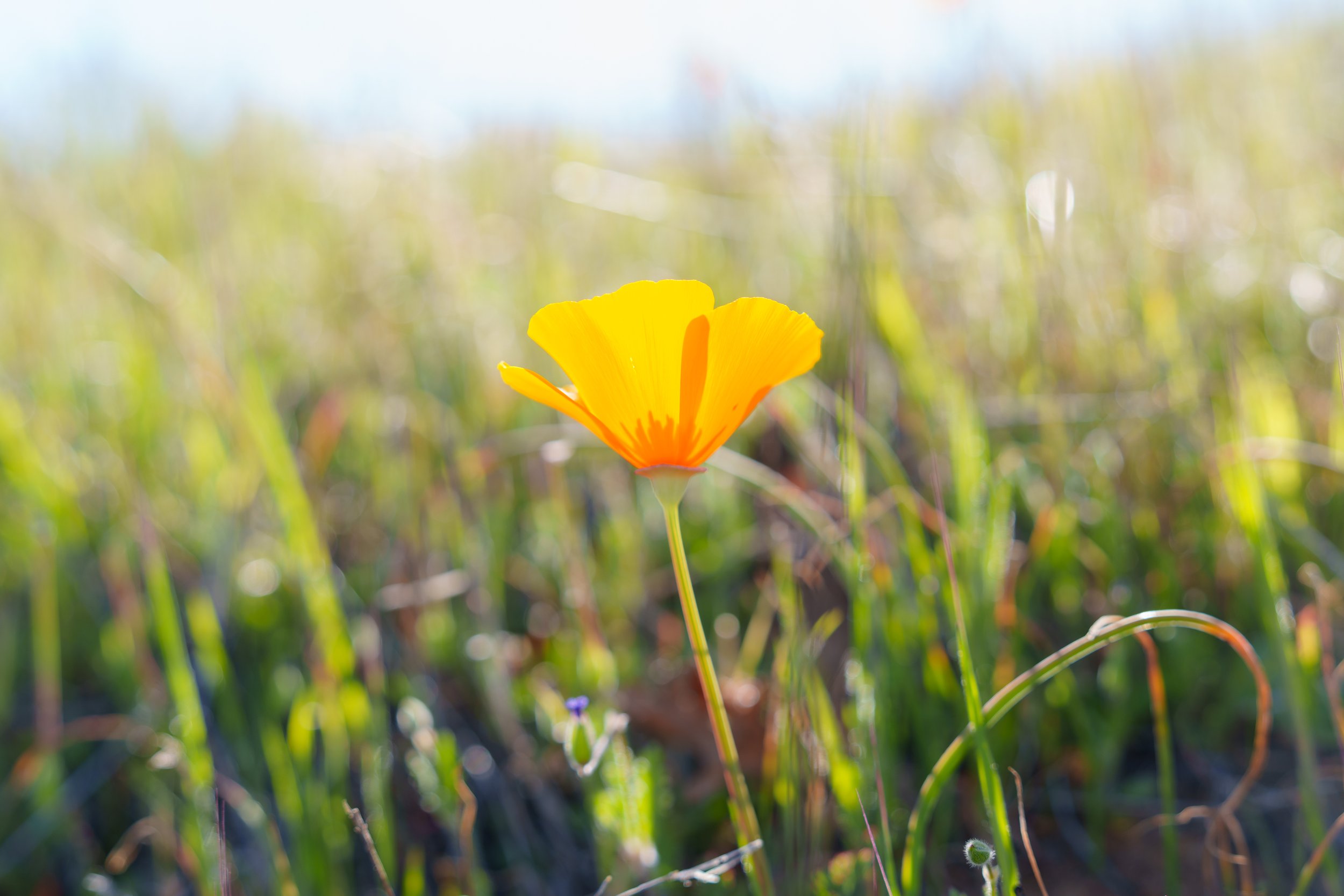 Patrick Sparks-57.jpg