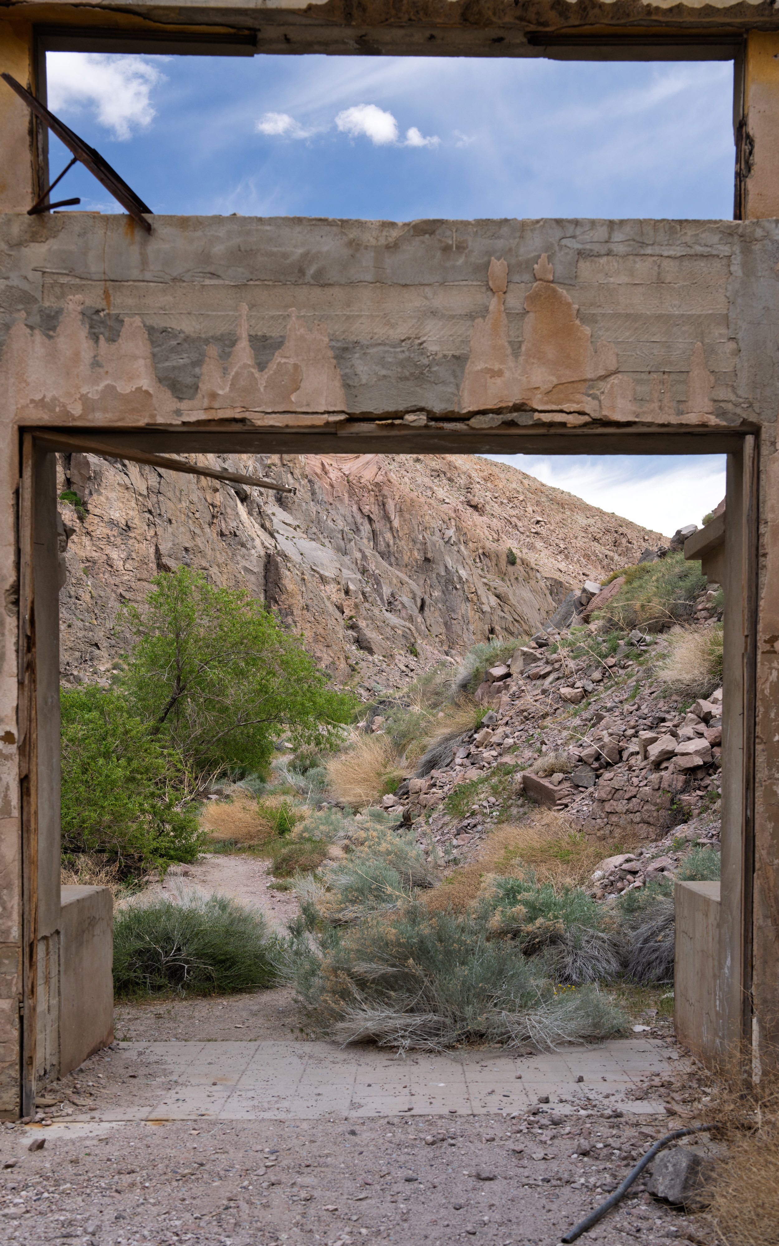 _DSC9921.jpg