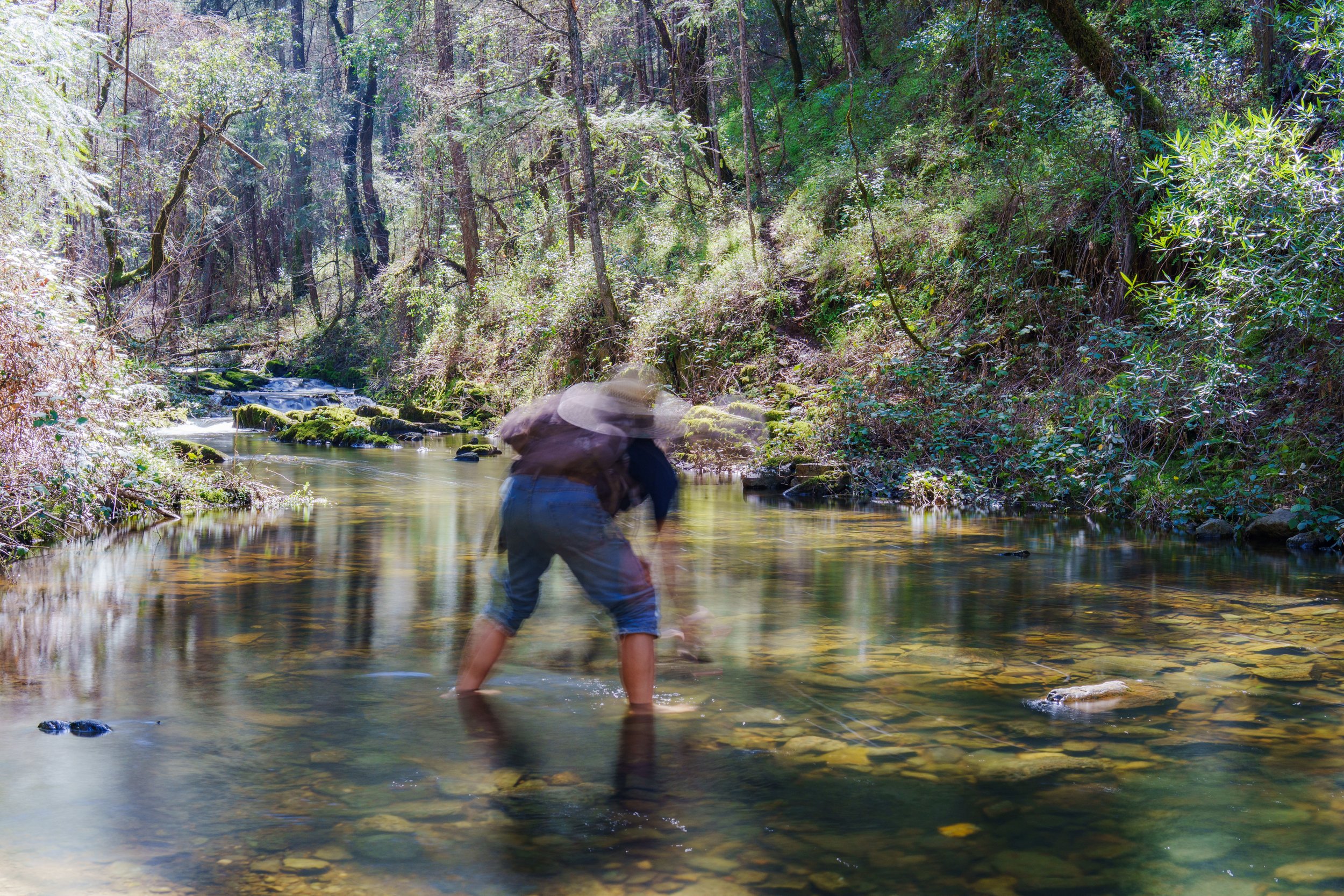 Auburn Recreation Area