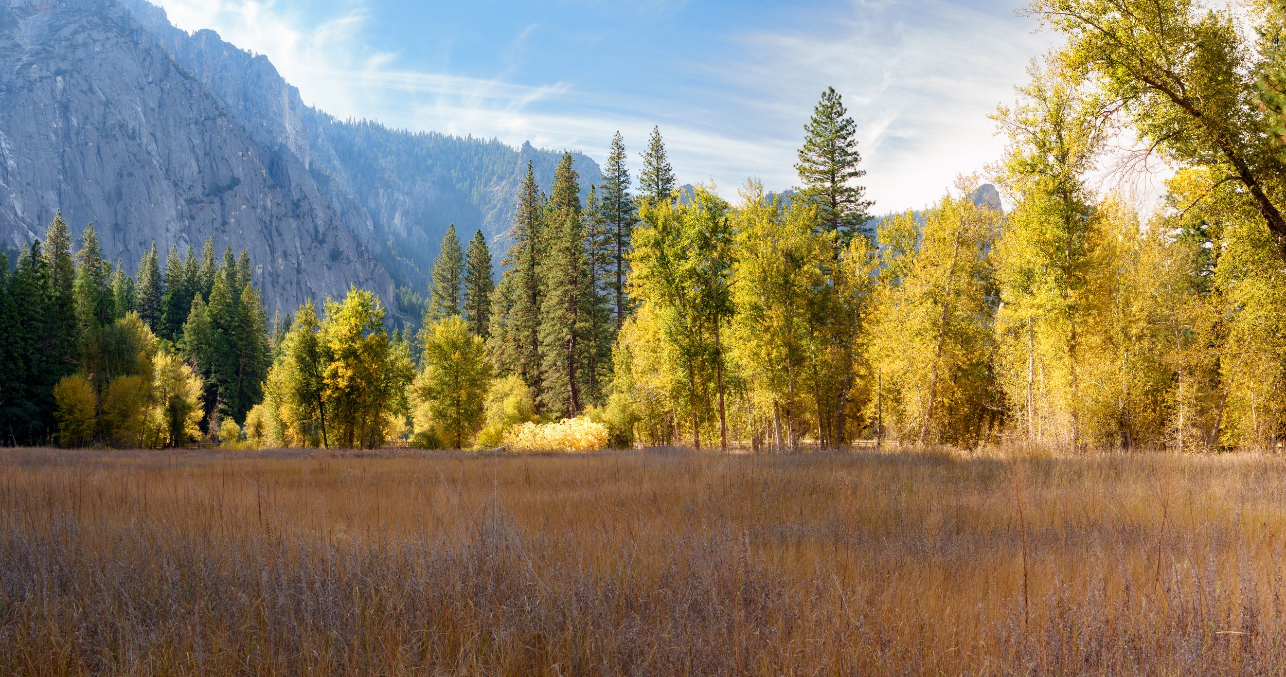 Patrick Sparks-36.jpg