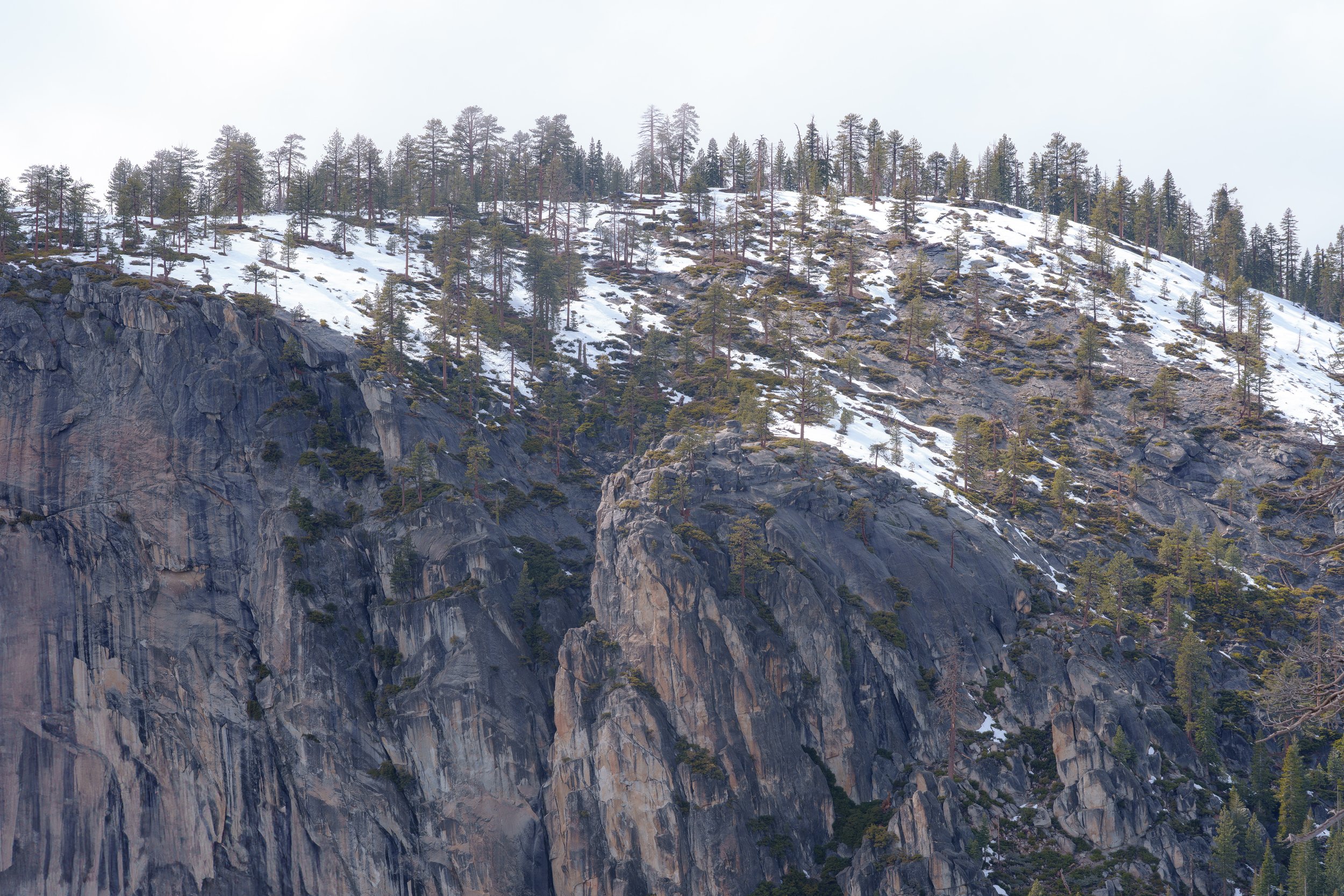 Patrick Sparks-49.jpg