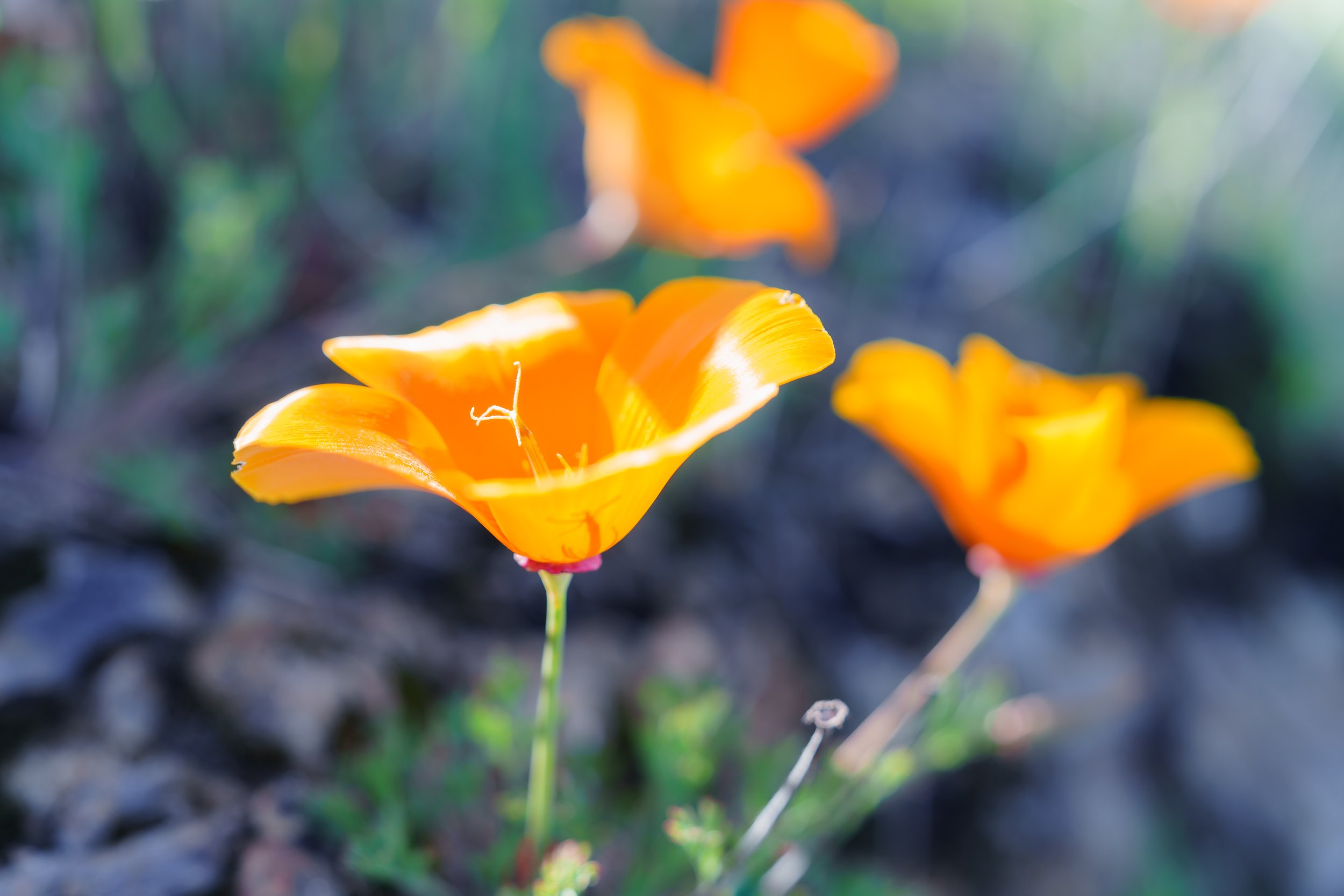 Patrick Sparks-59.jpg