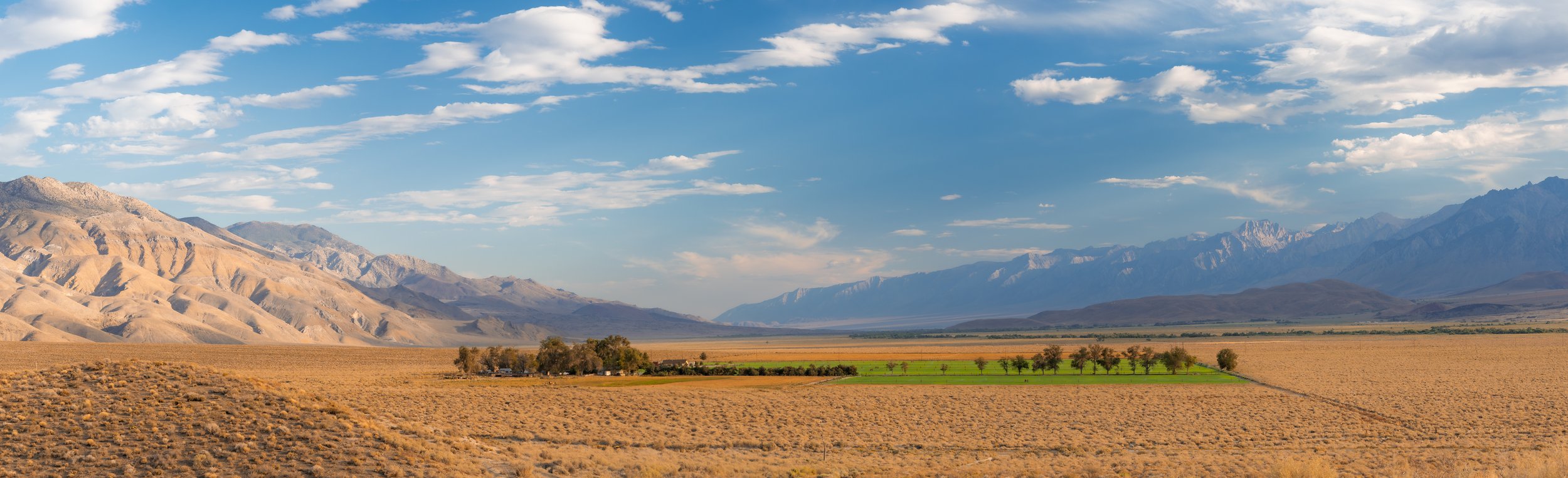 Patrick Sparks-93.jpg