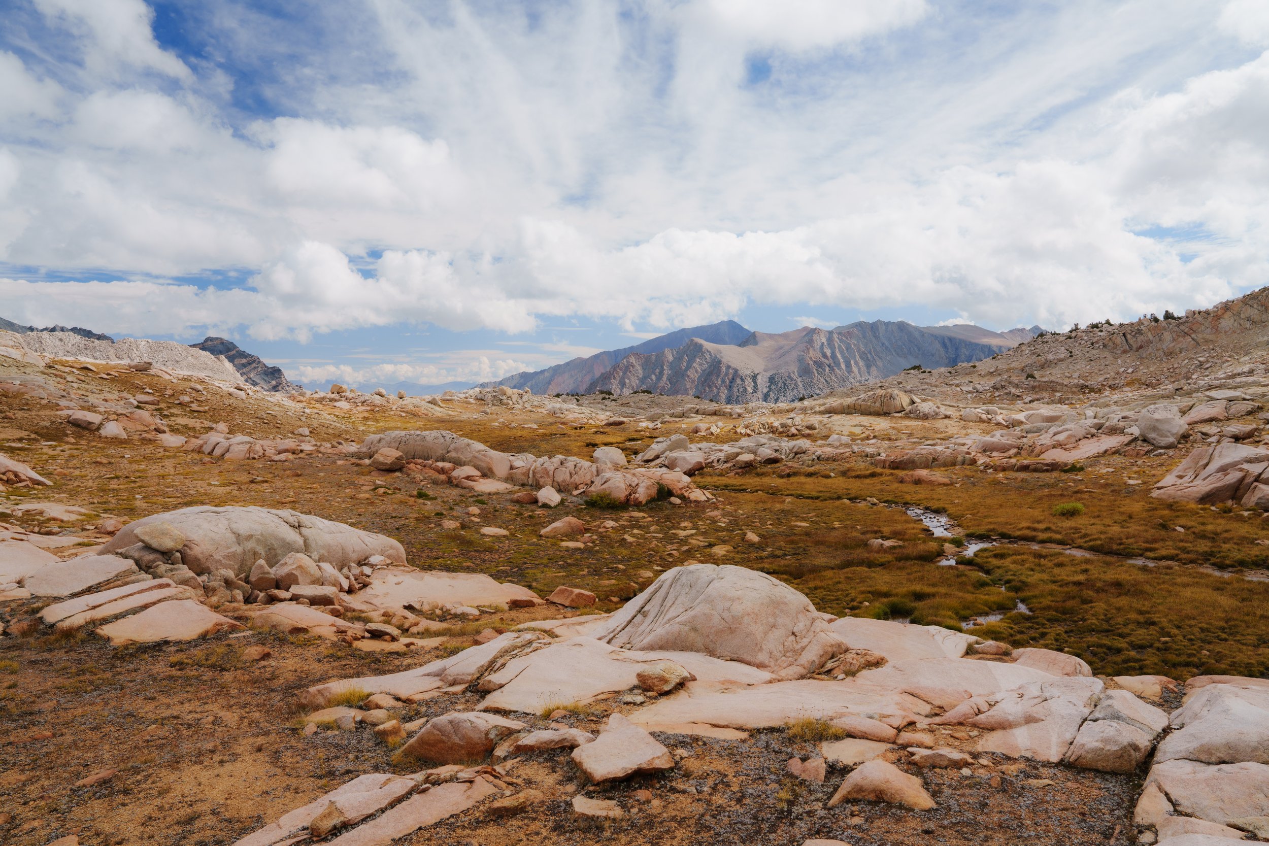 Patrick Sparks-19.jpg