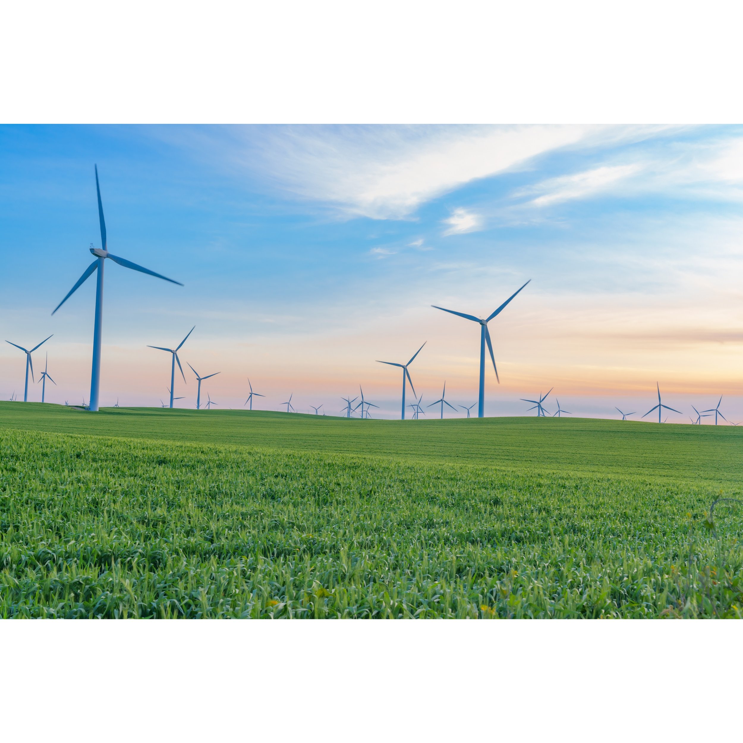 Windmills XP Print