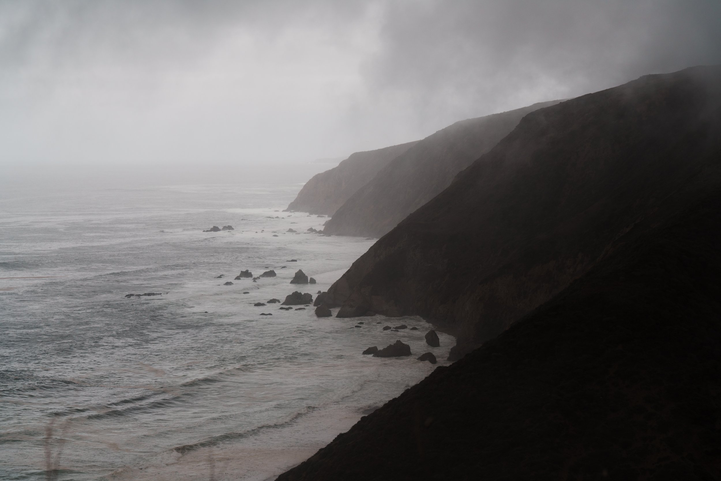 Tomales Point