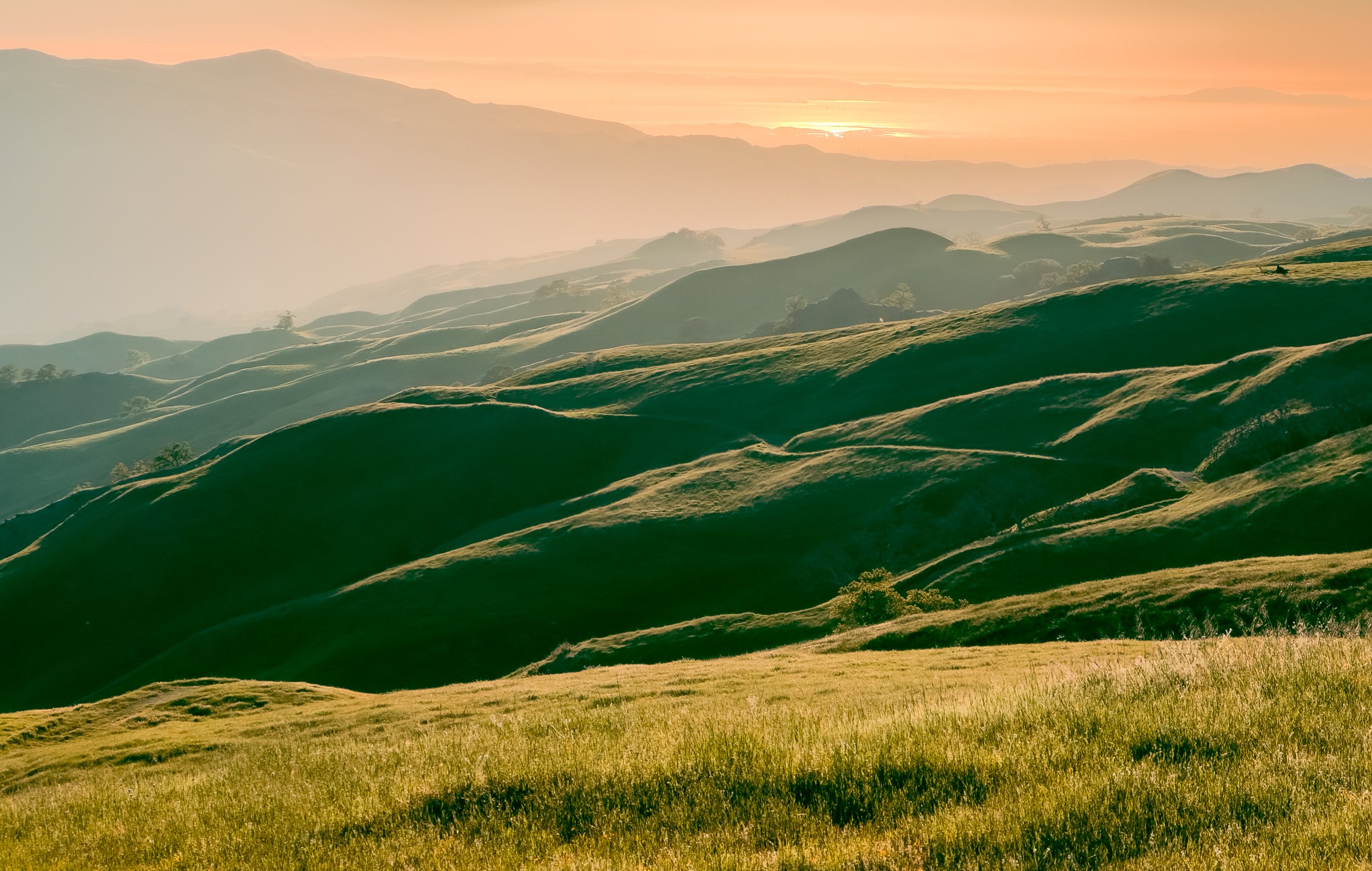 Rose Mountain from Sunol