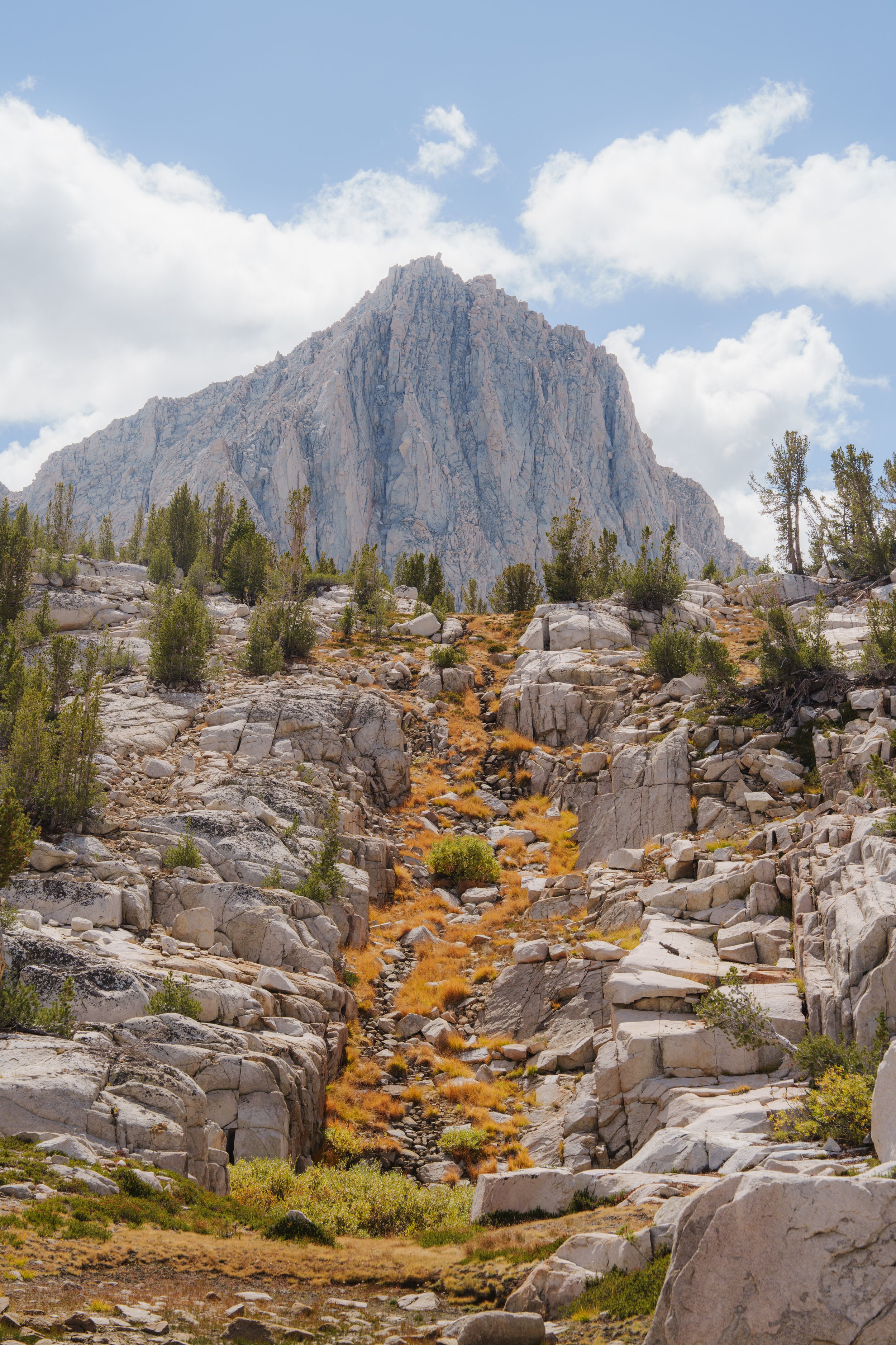 Patrick Sparks-8.jpg