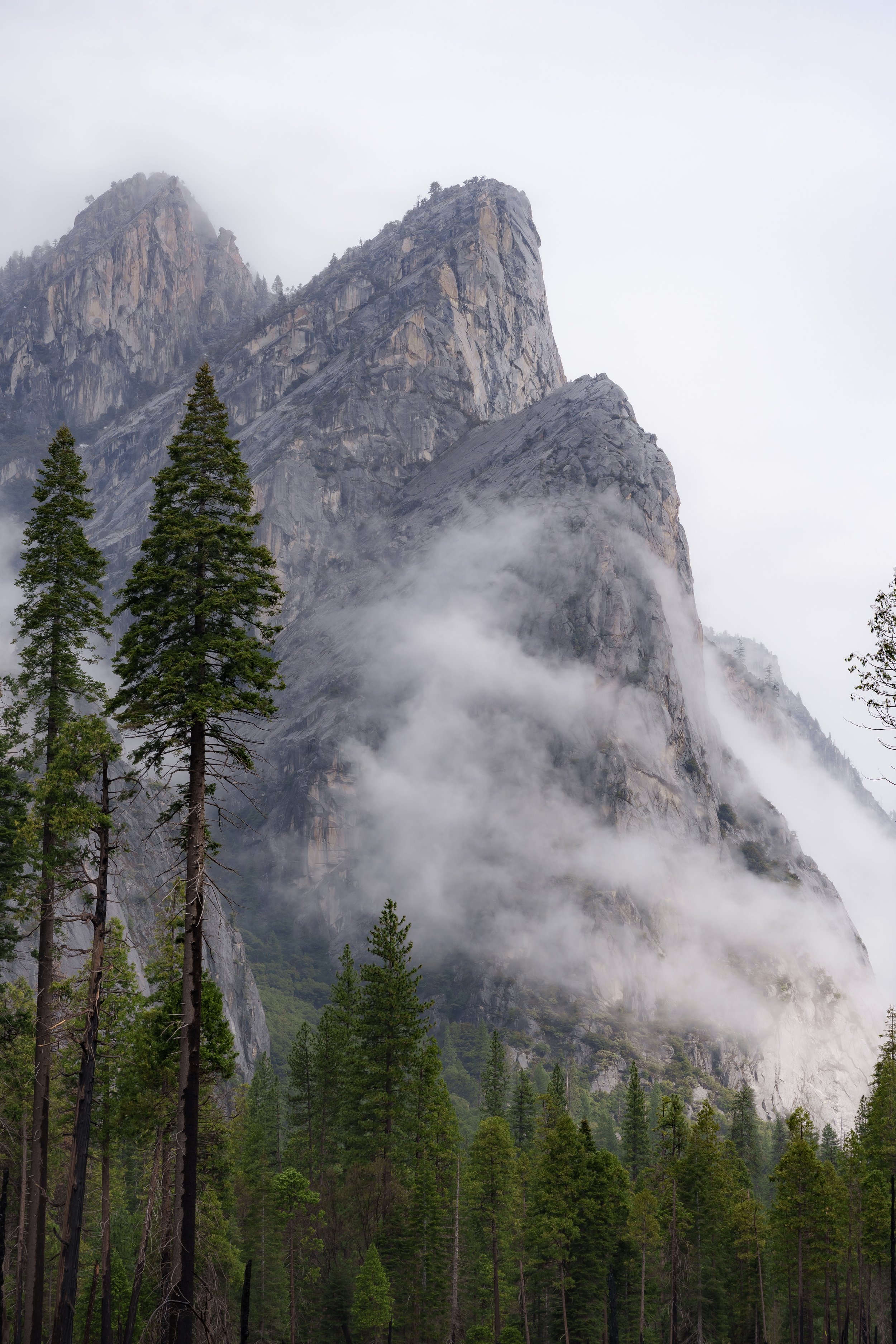 Patrick Sparks-47.jpg