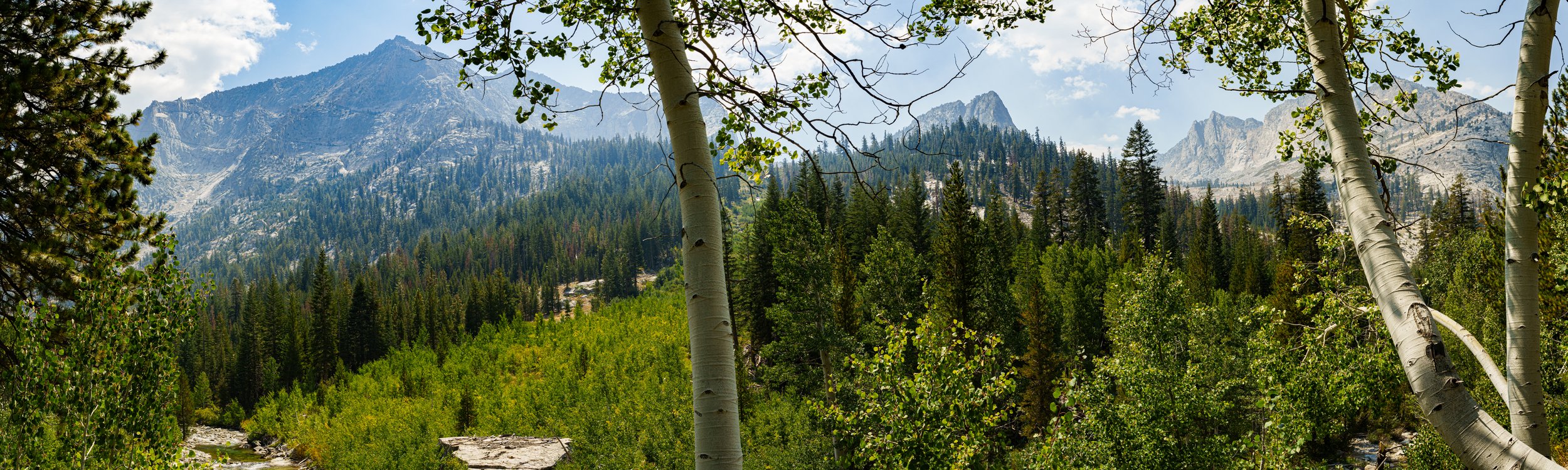 Patrick Sparks-22.jpg