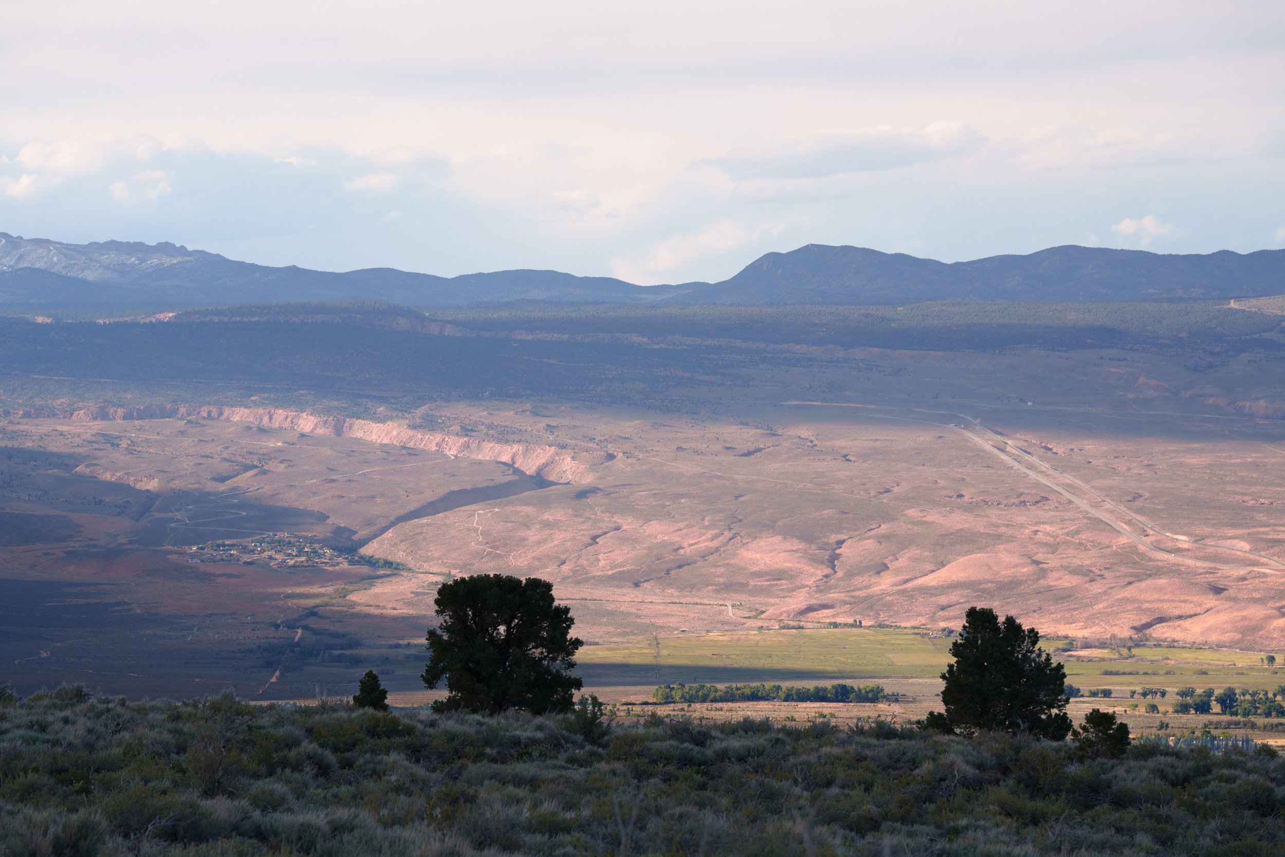 _DSC0947.jpg