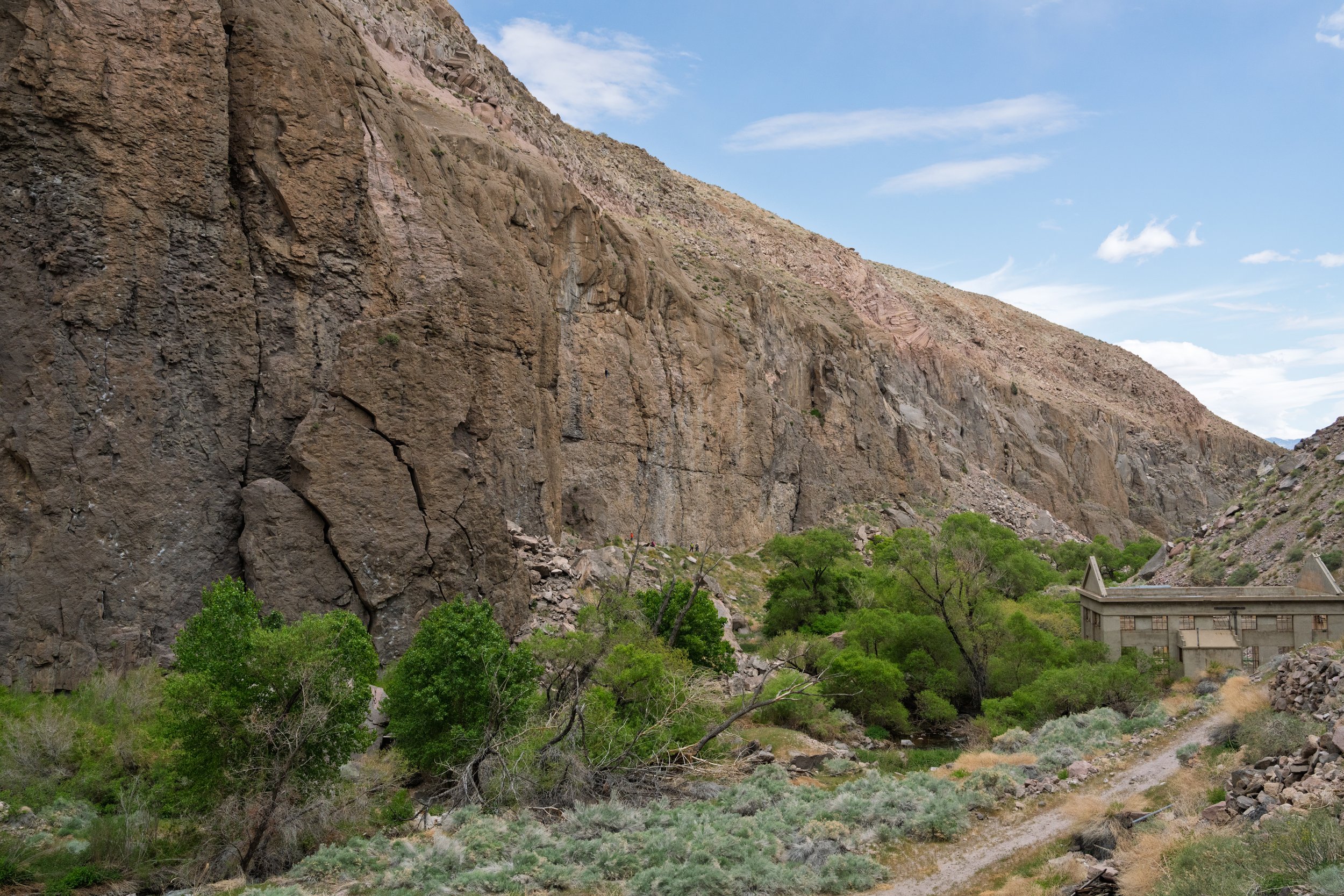 _DSC9945.jpg