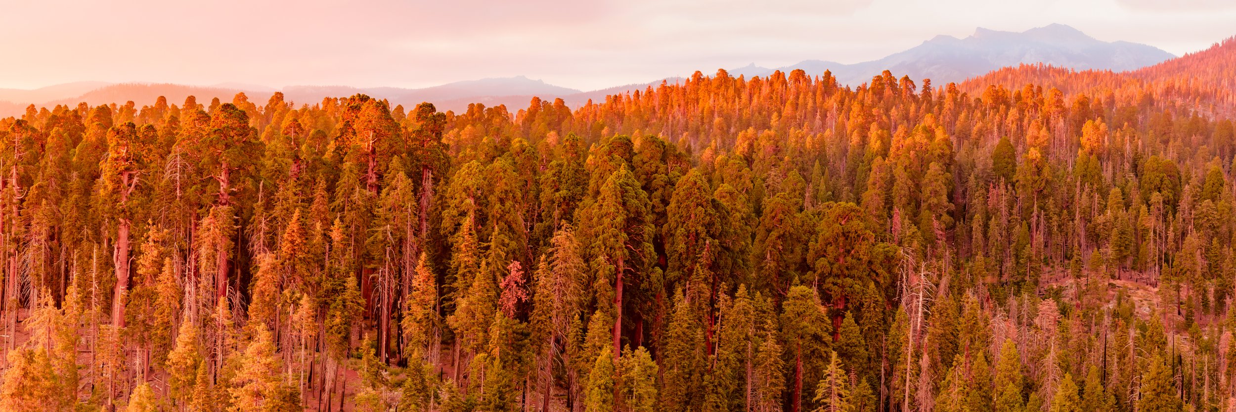 Patrick Sparks-66.jpg